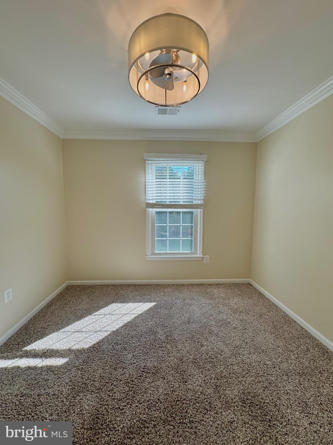 12102 SNOW SHOE COURT