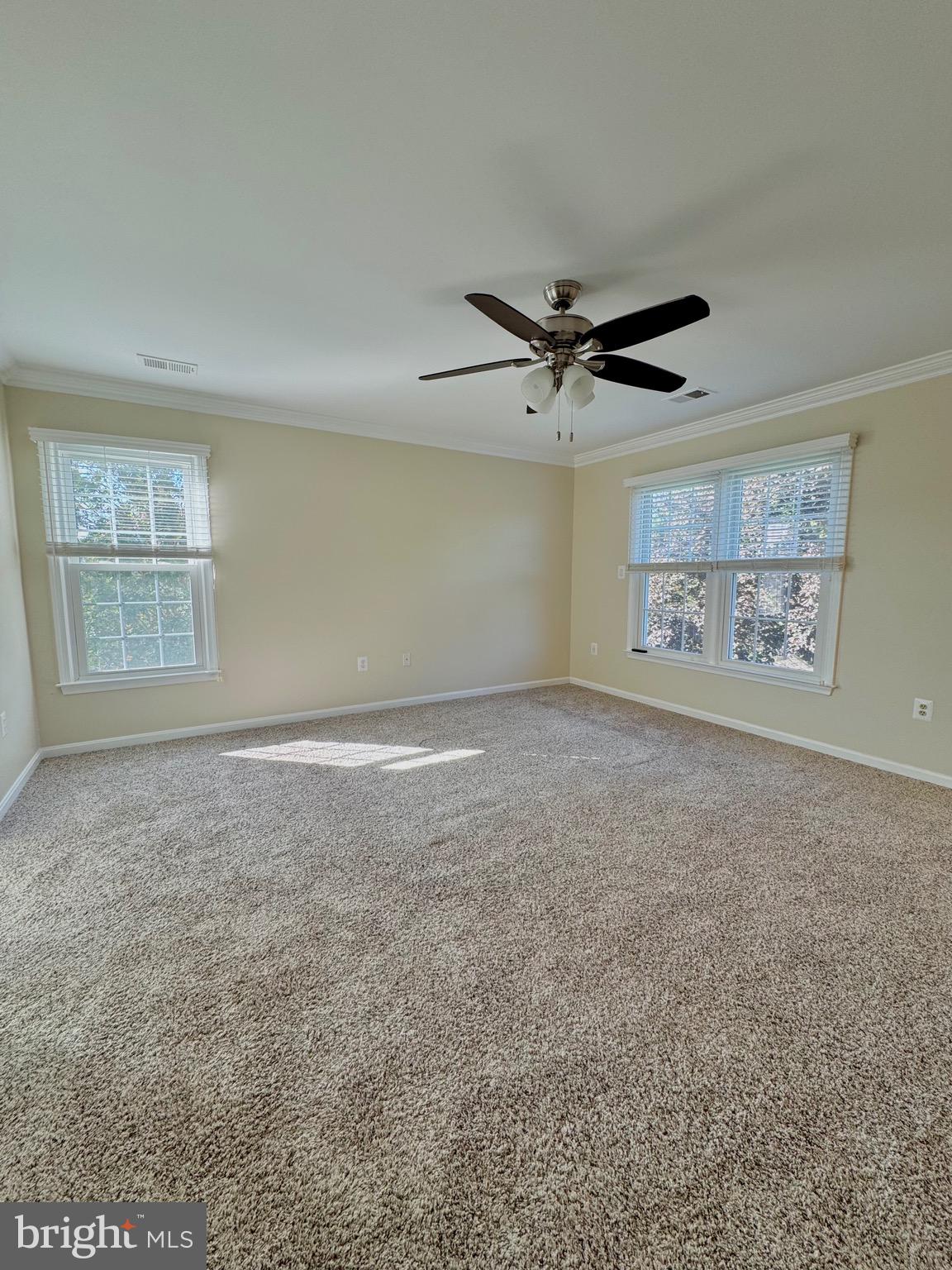 12102 SNOW SHOE COURT