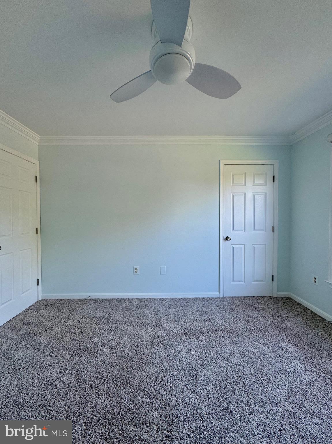 12102 SNOW SHOE COURT