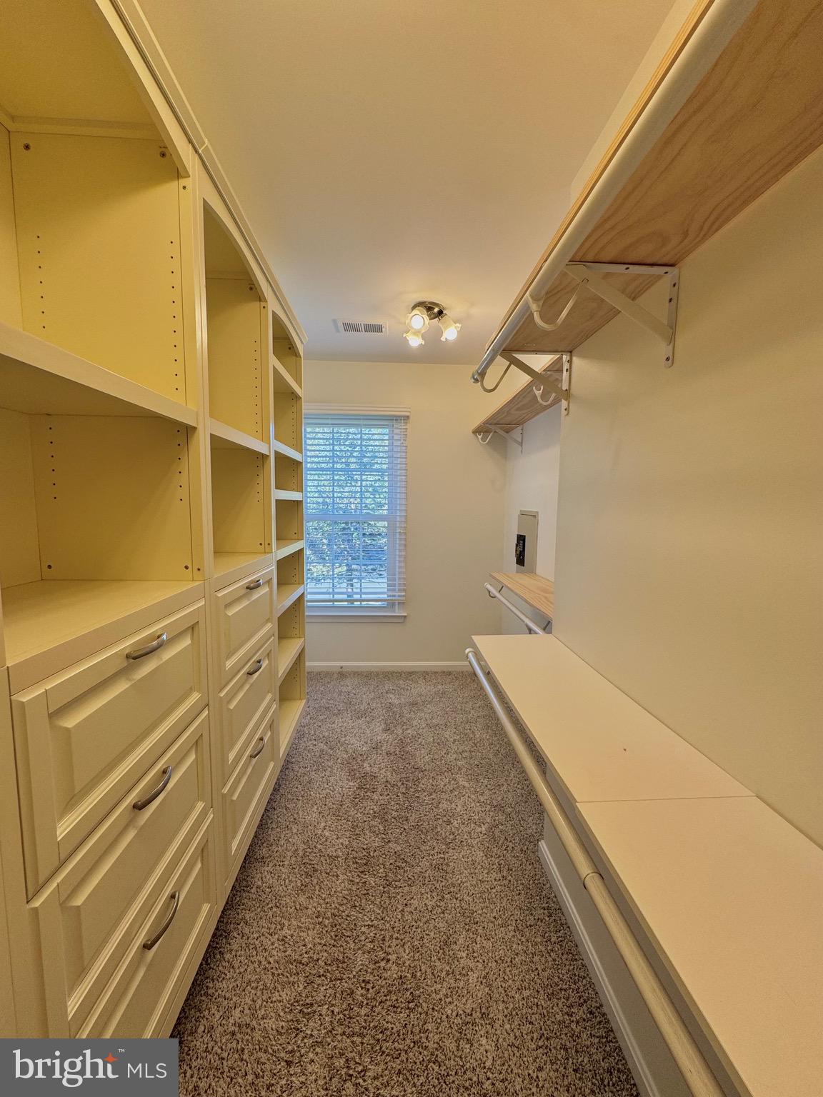 12102 SNOW SHOE COURT