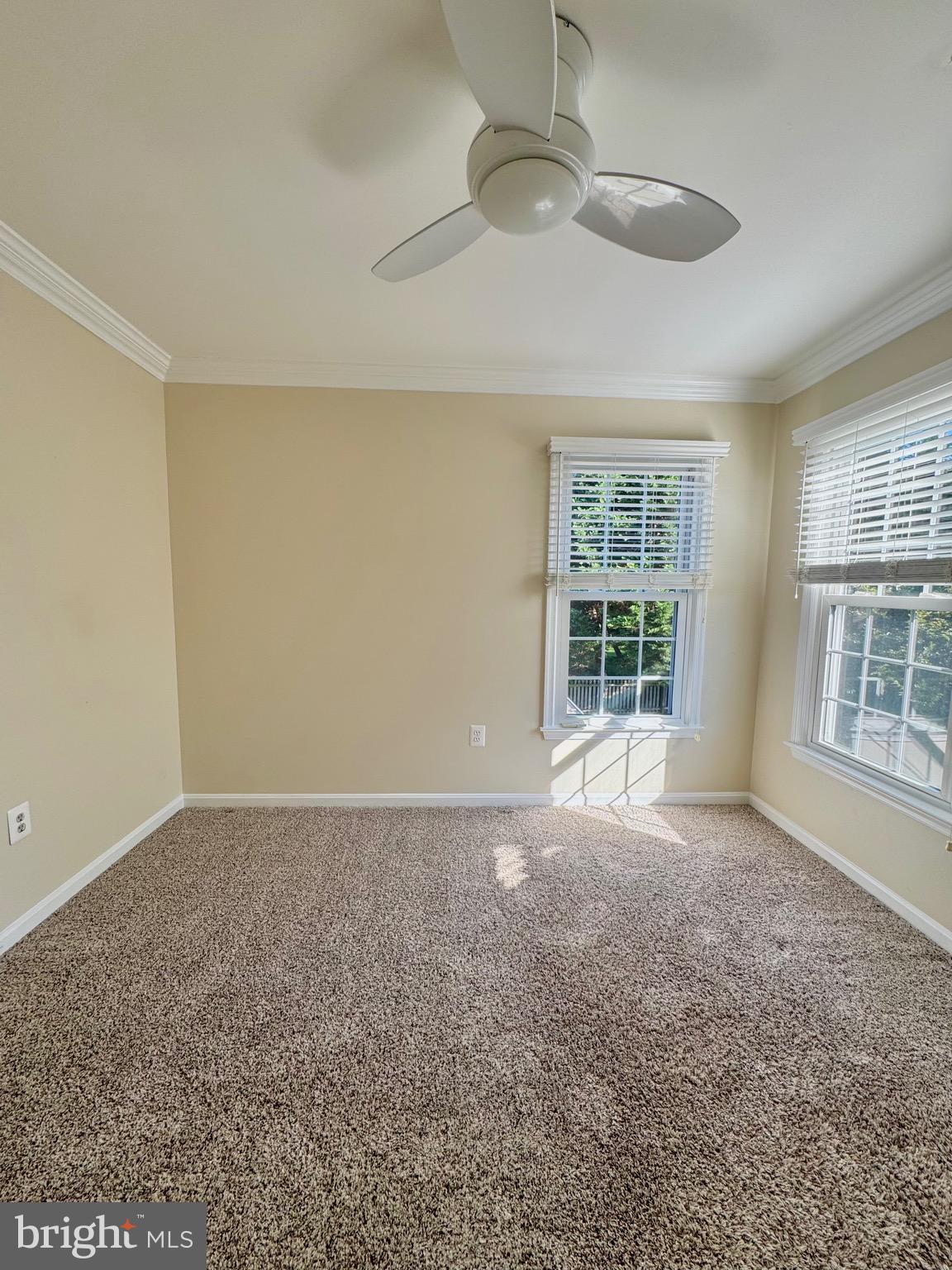 12102 SNOW SHOE COURT