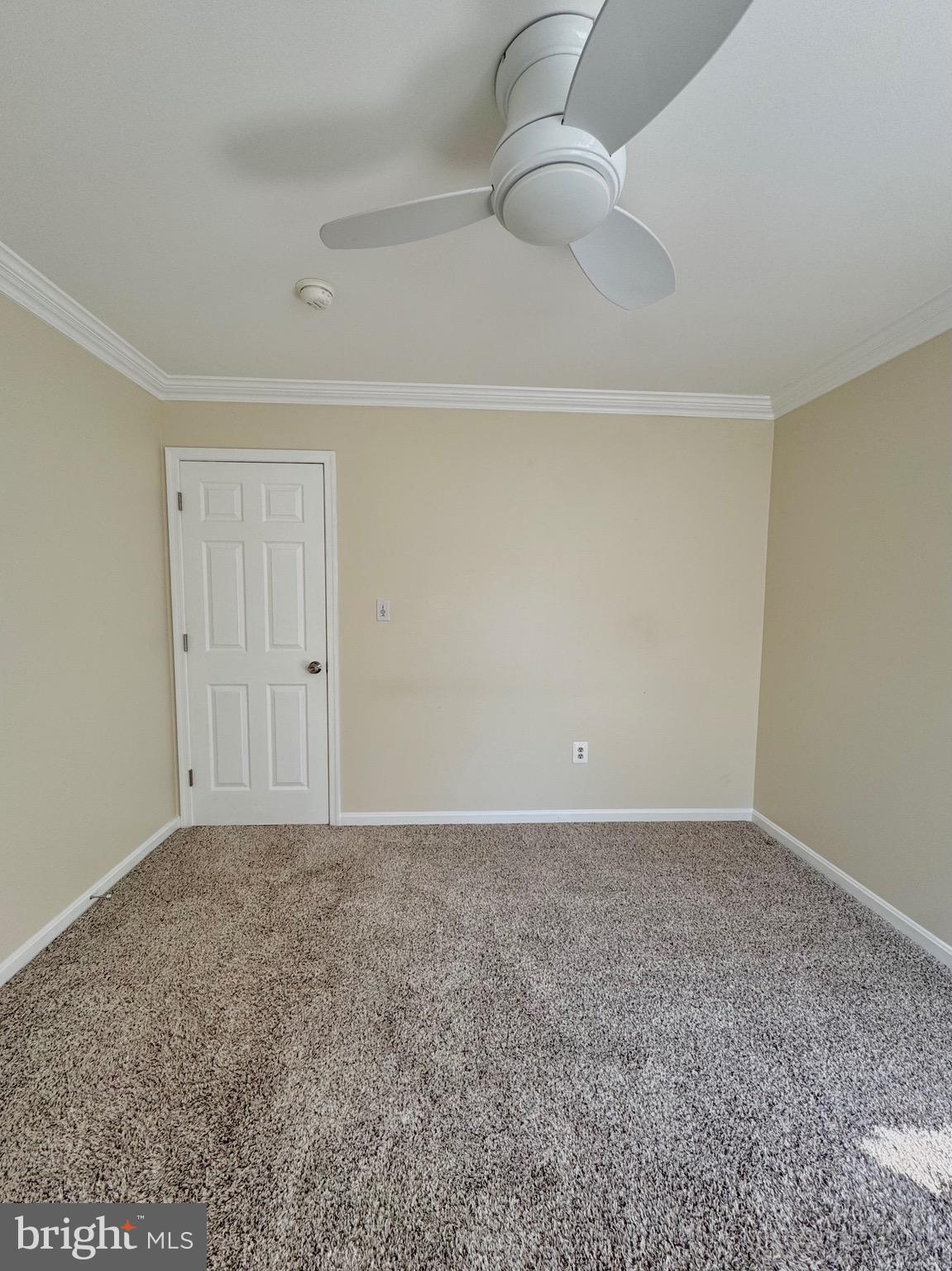 12102 SNOW SHOE COURT