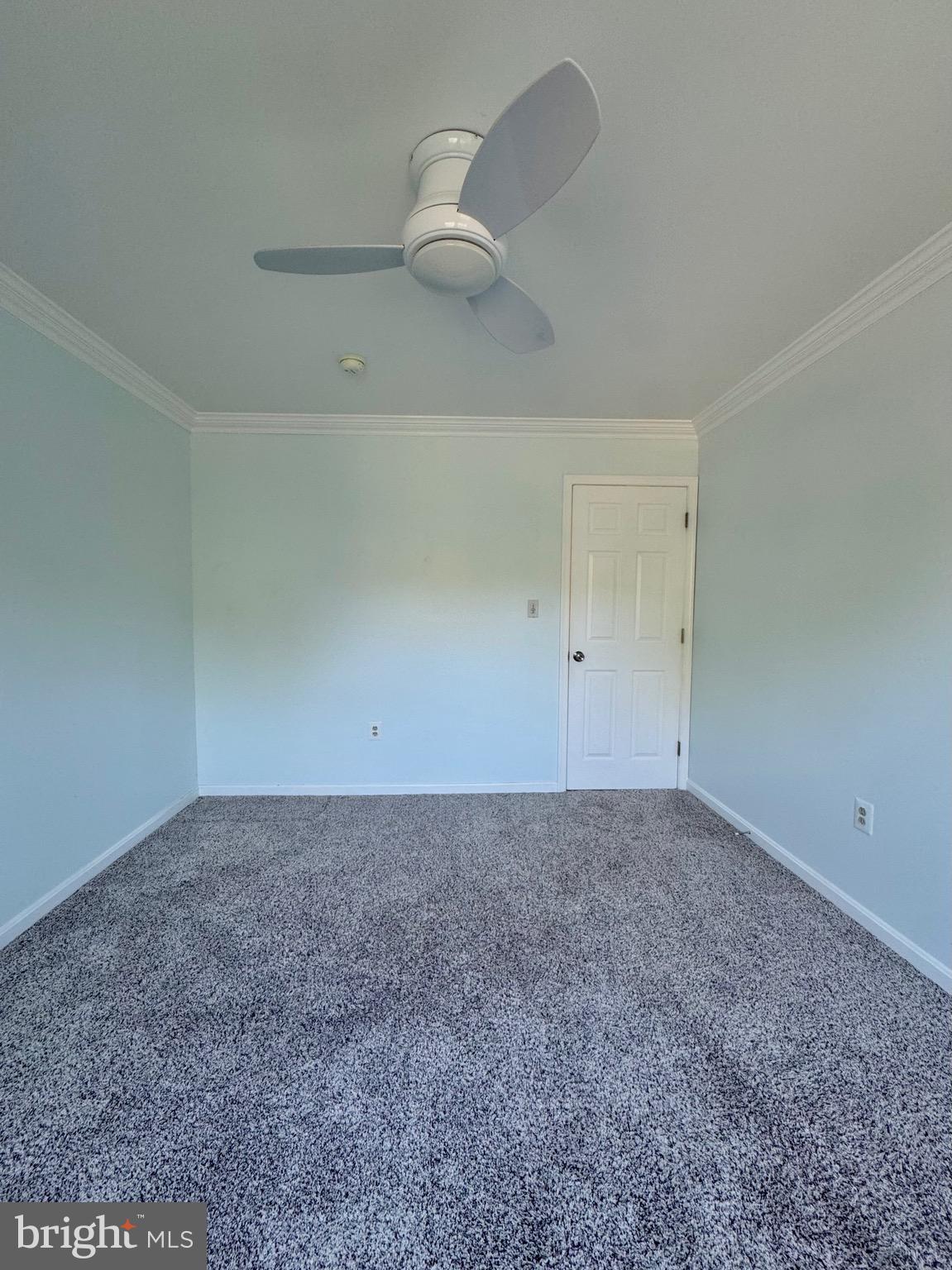 12102 SNOW SHOE COURT