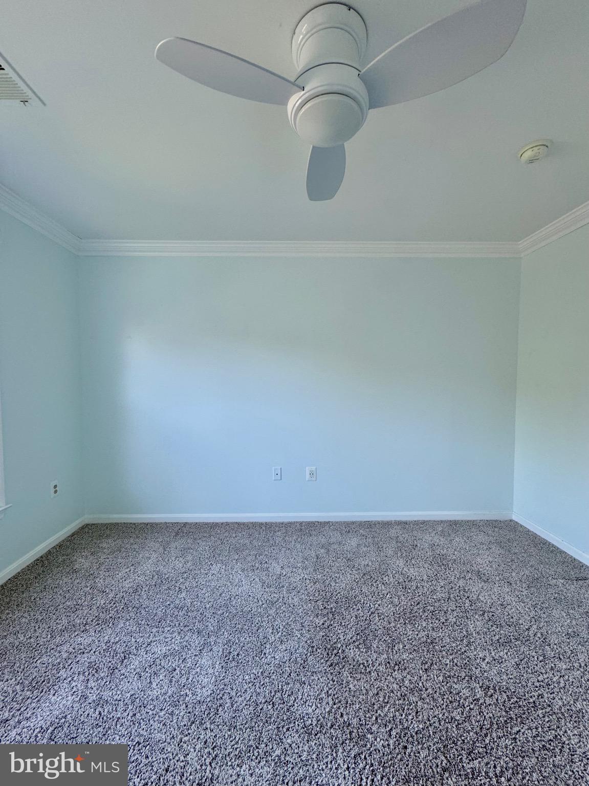 12102 SNOW SHOE COURT