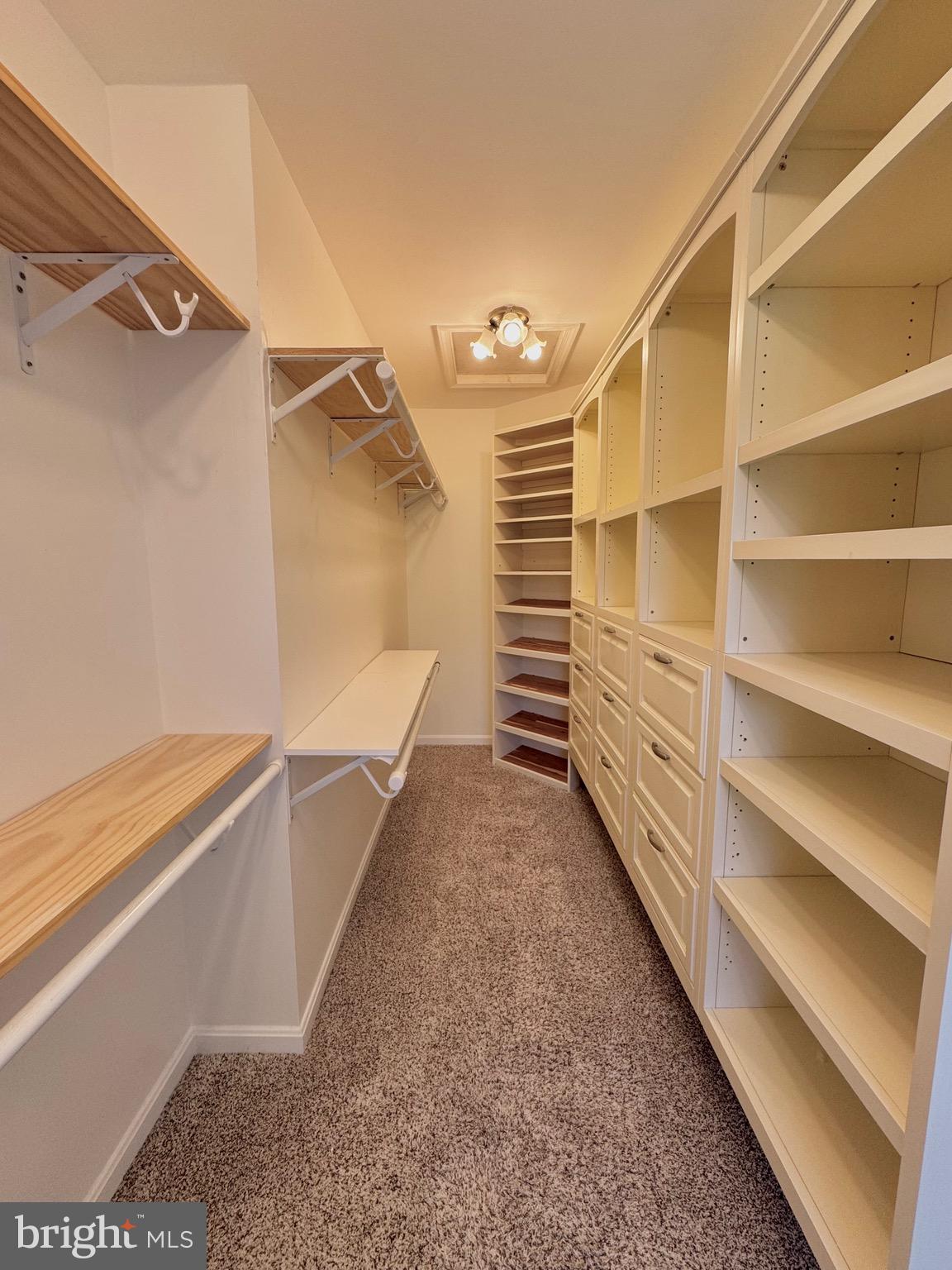 12102 SNOW SHOE COURT