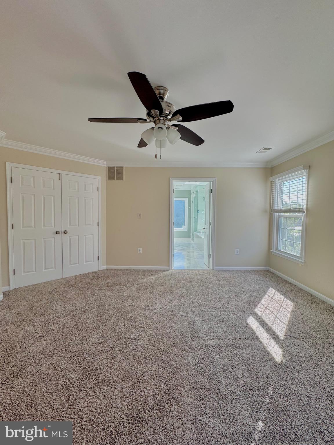 12102 SNOW SHOE COURT