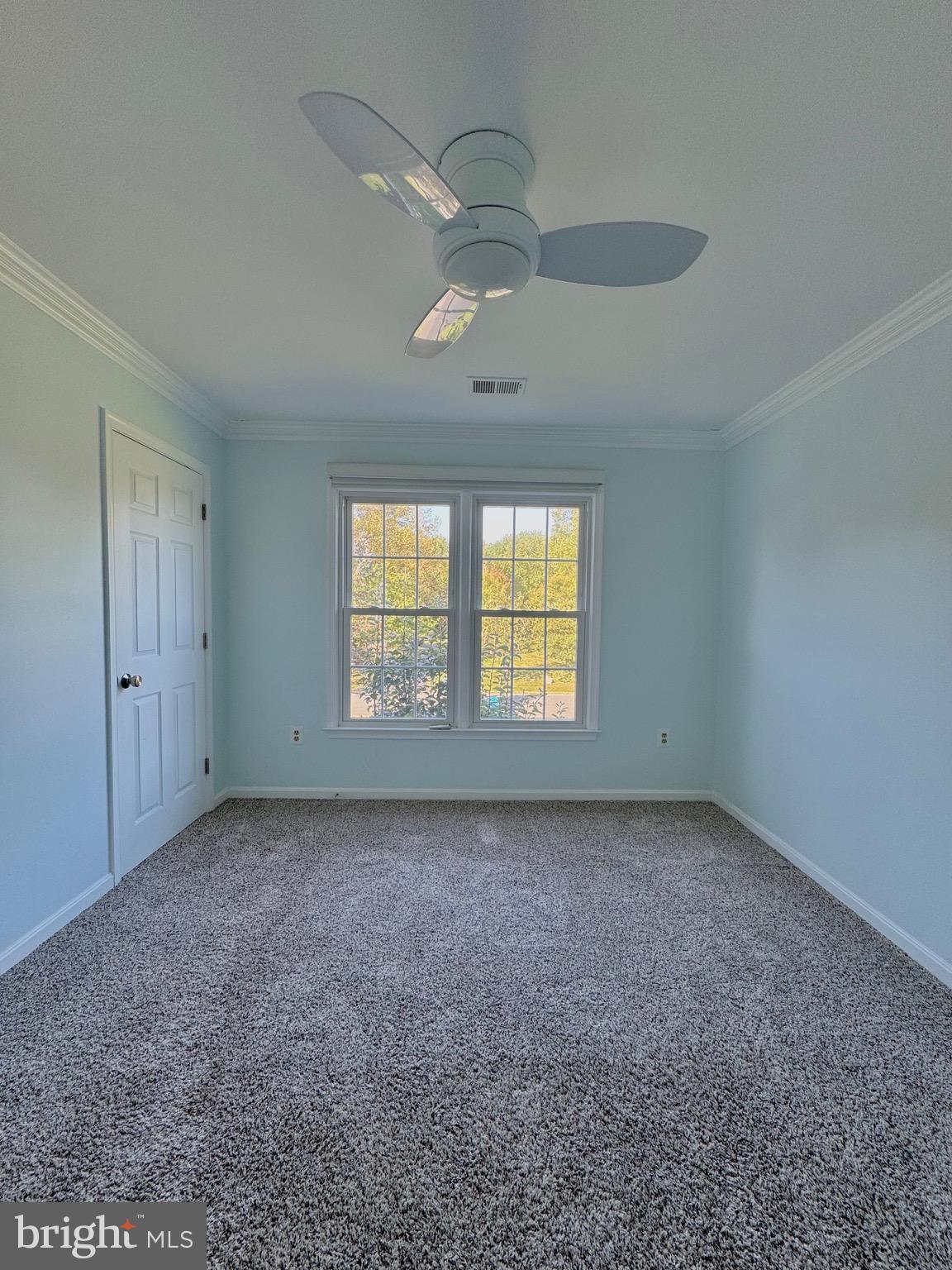 12102 SNOW SHOE COURT
