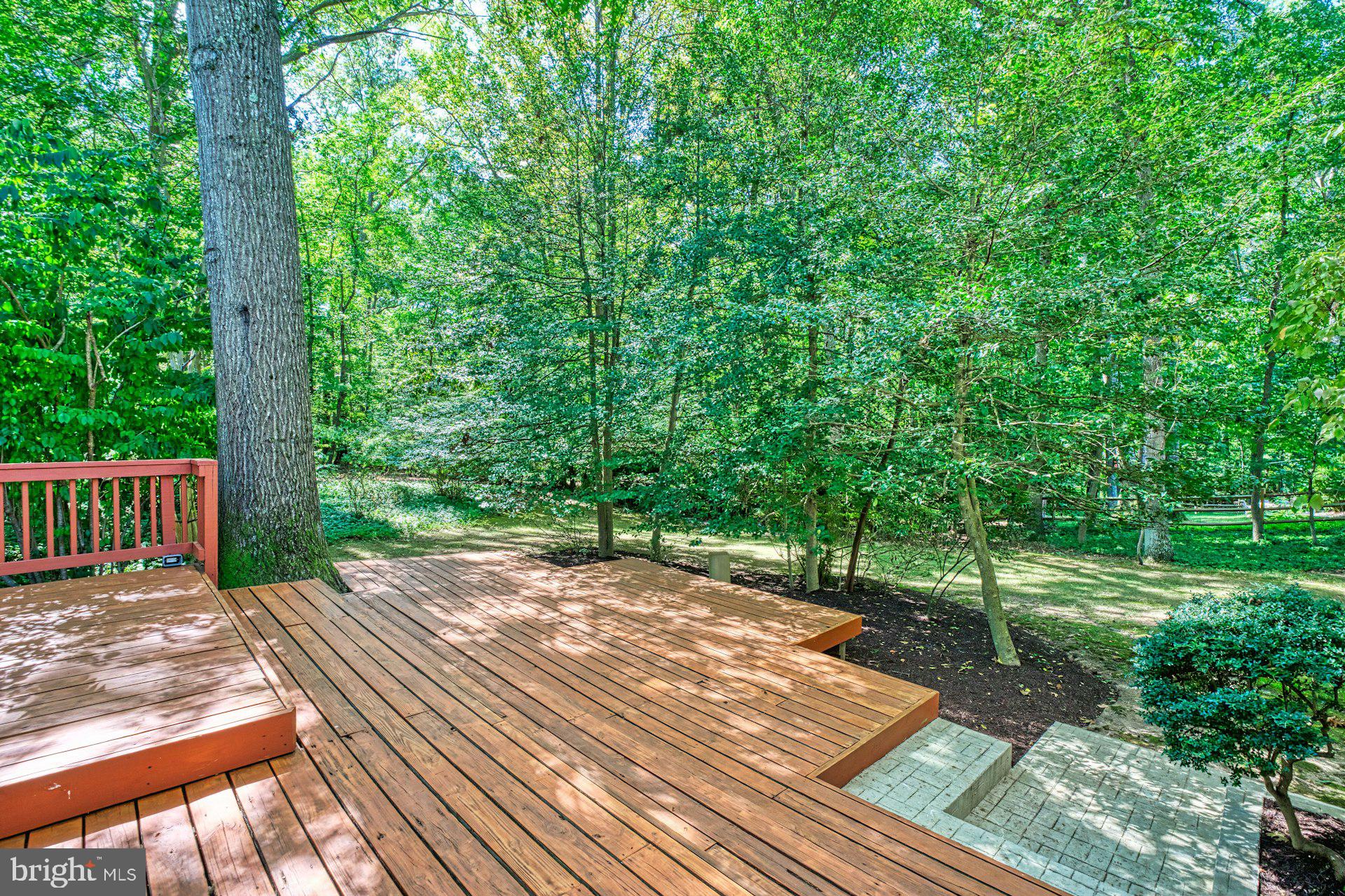 11401 RUNNING CEDAR ROAD