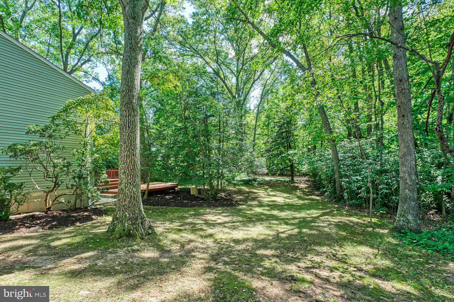 11401 RUNNING CEDAR ROAD