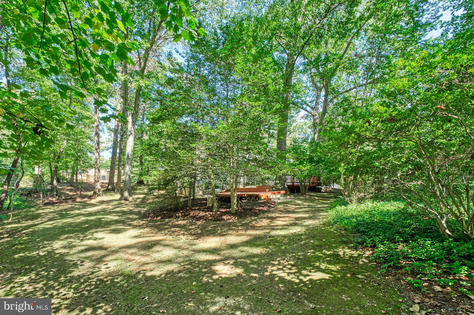 11401 RUNNING CEDAR ROAD