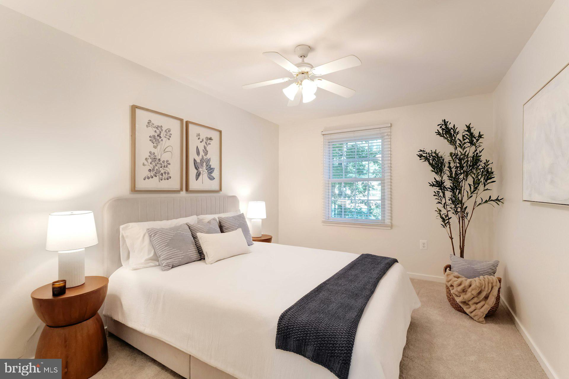 11401 RUNNING CEDAR ROAD