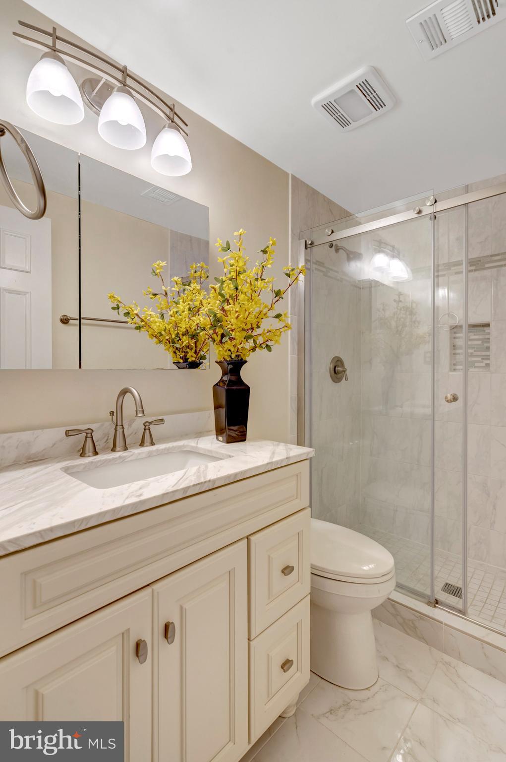 3019 OAKTON MEADOWS COURT