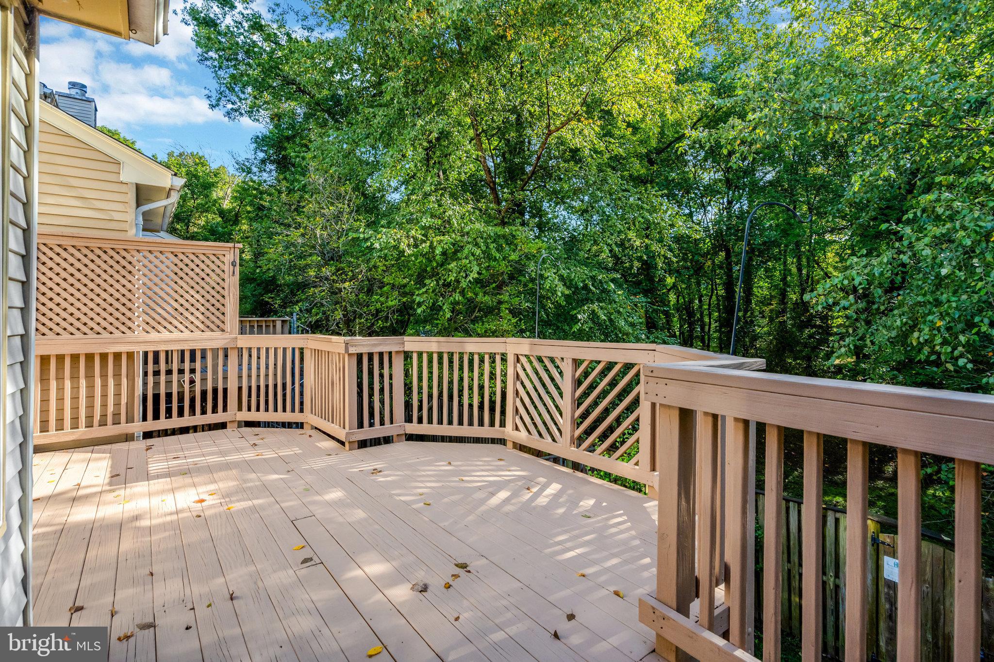 3019 OAKTON MEADOWS COURT