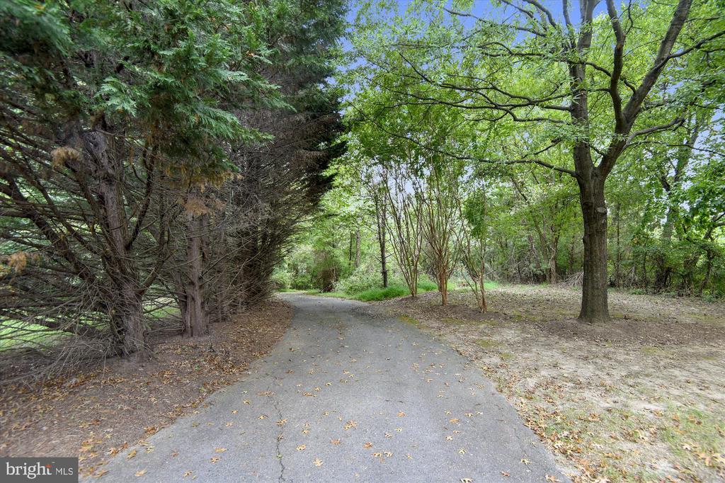 12102 GREENWAY COURT 101