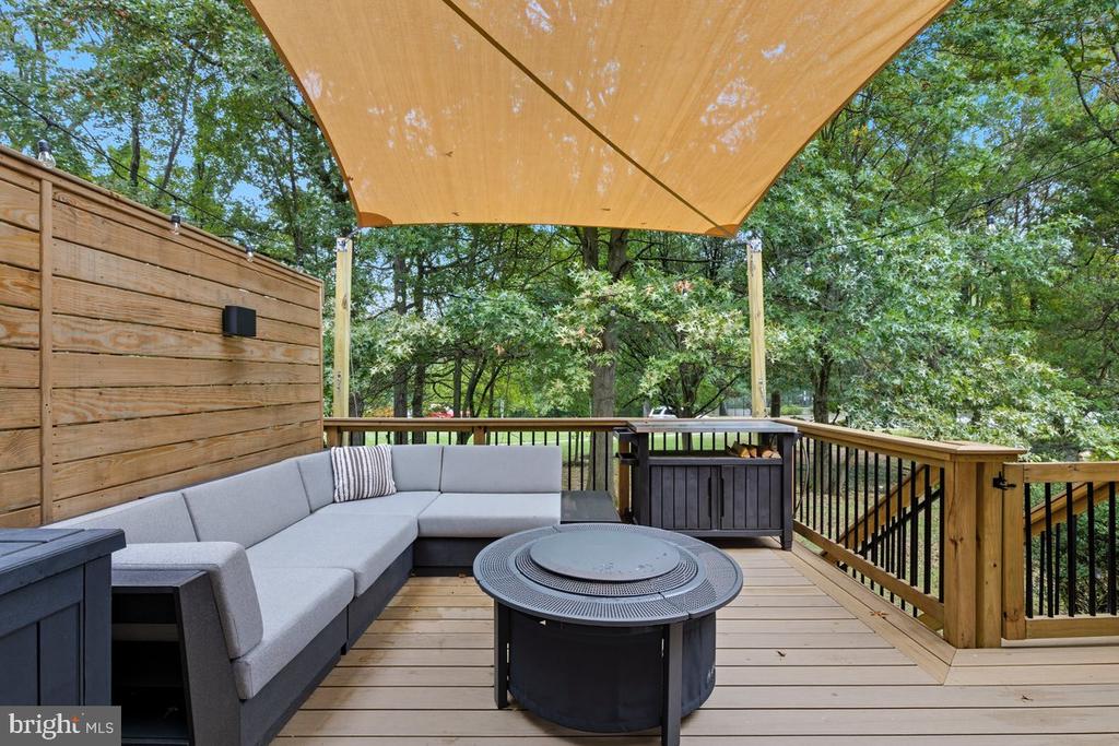 3878 ALDER WOODS COURT