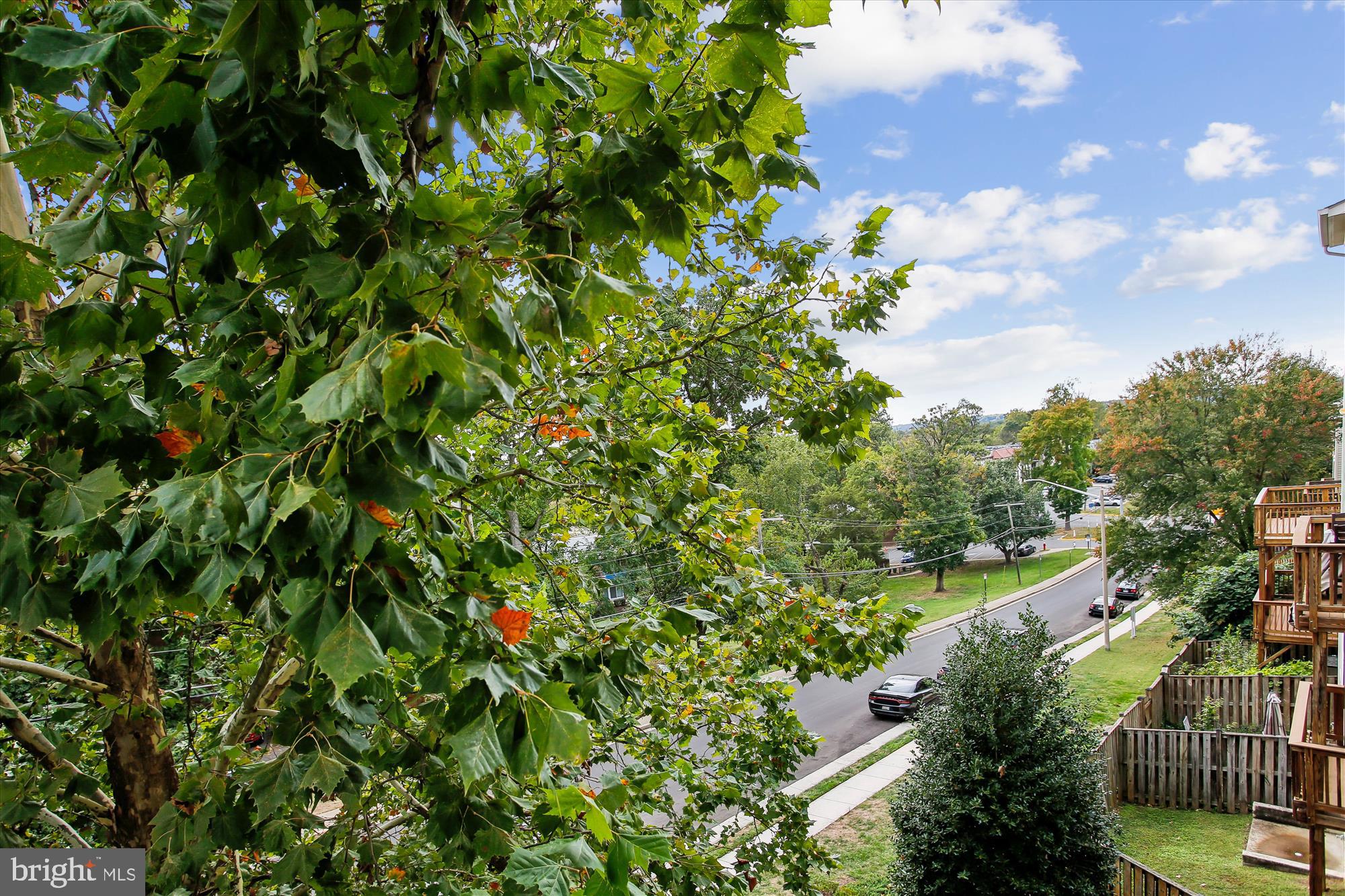 3335 BEECHCLIFF DRIVE