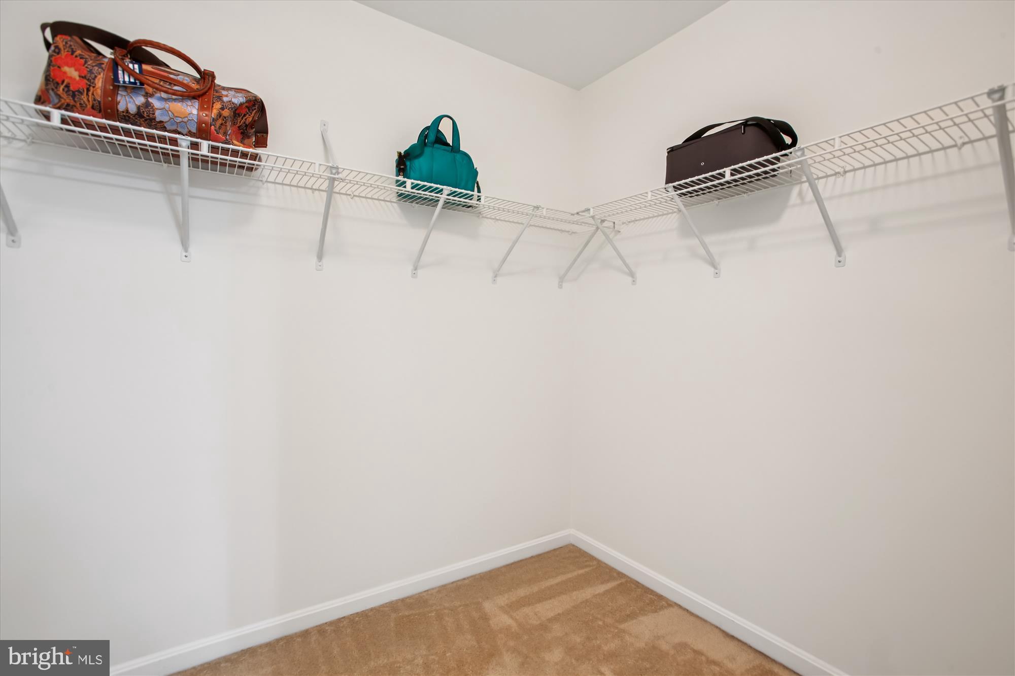 3335 BEECHCLIFF DRIVE