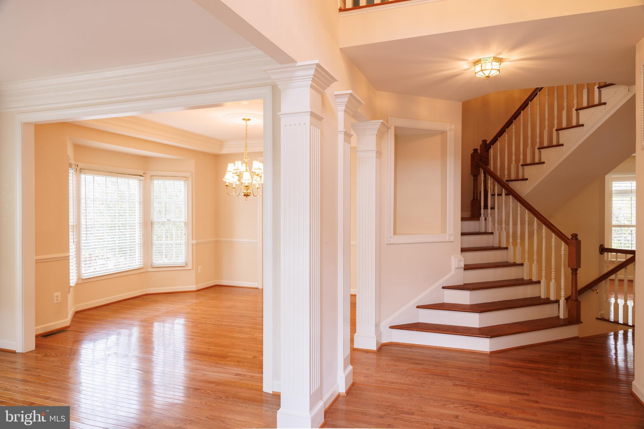 8623 JAMES CREEK DRIVE