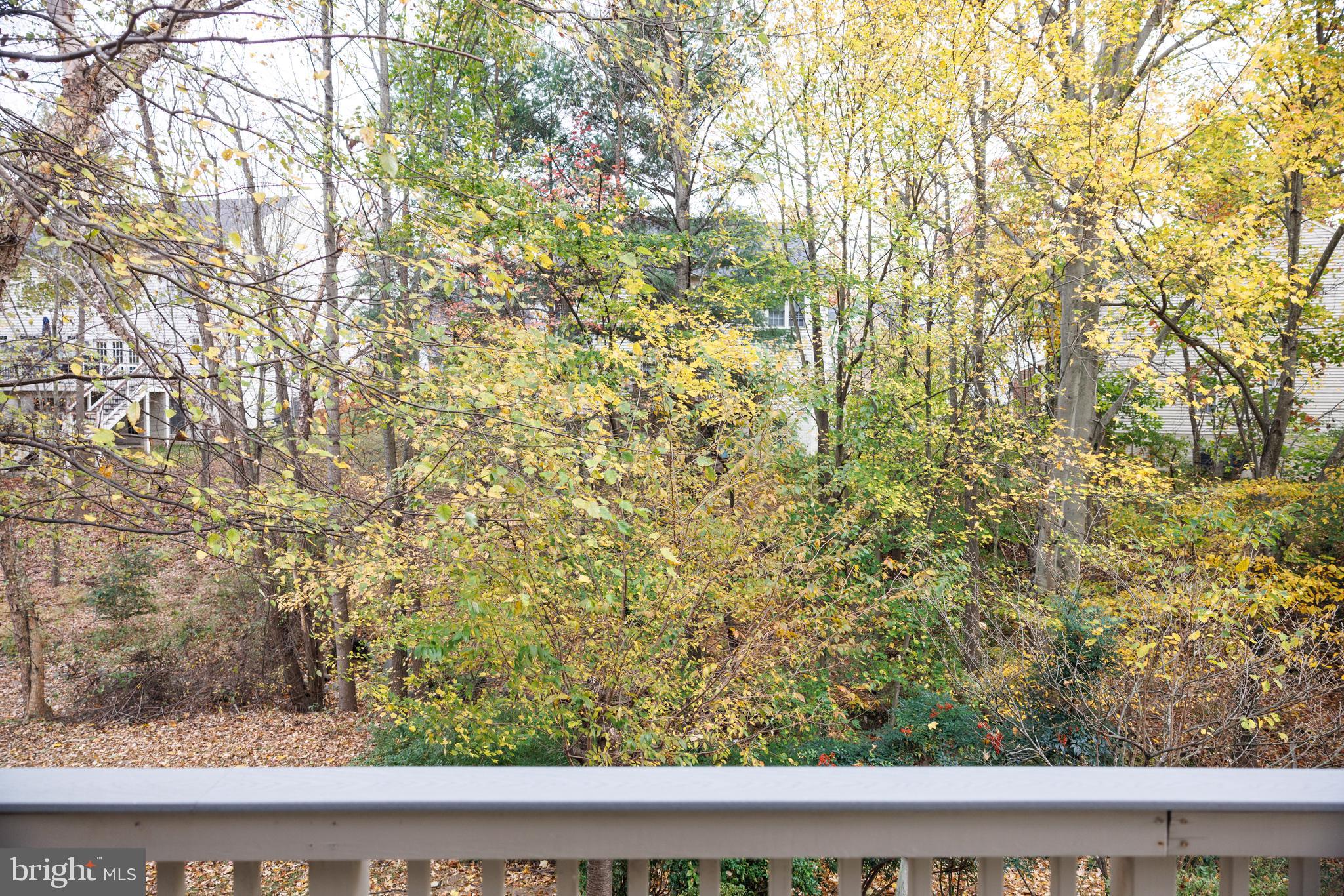 8623 JAMES CREEK DRIVE