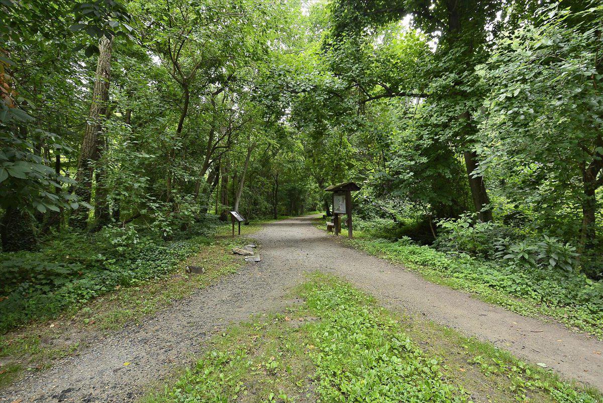 6315 OLDE TOWNE COURT