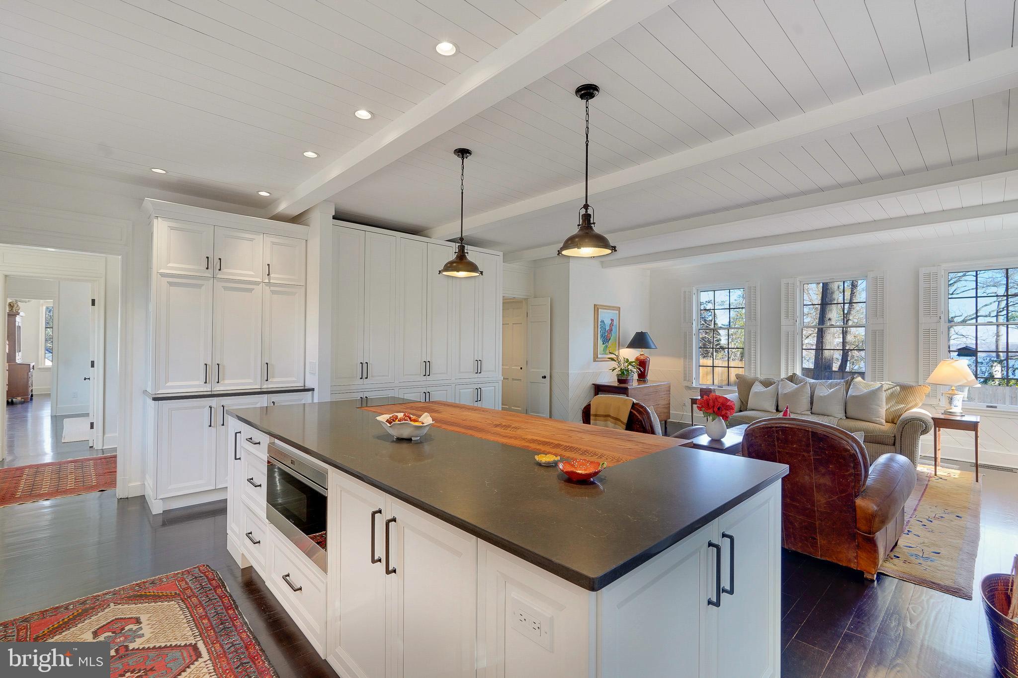 815 ARCTURUS ON THE POTOMAC