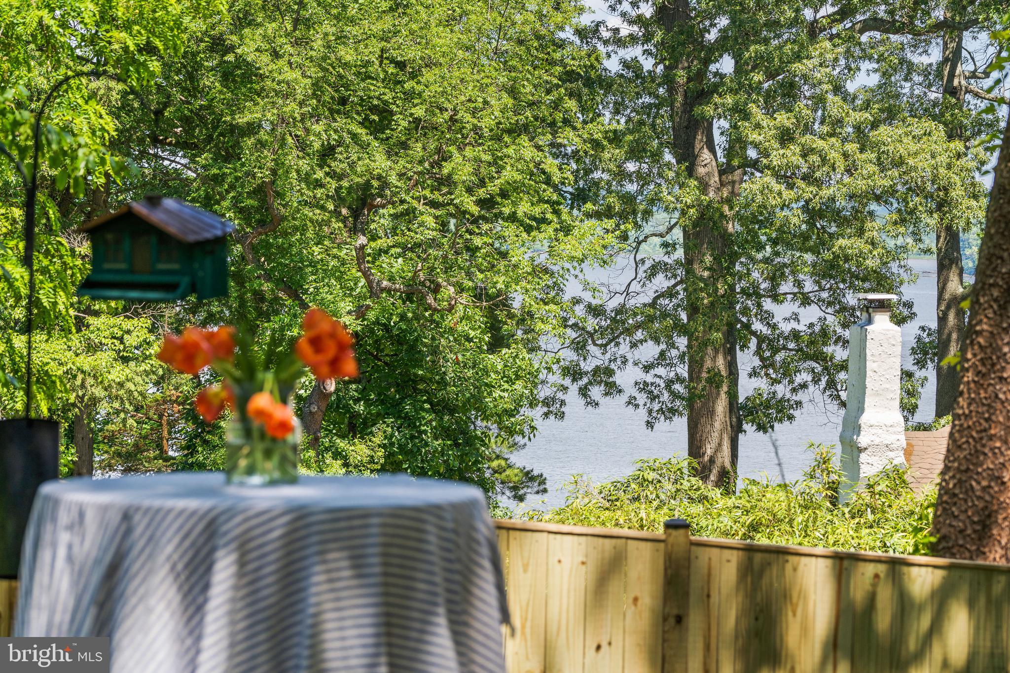 815 ARCTURUS ON THE POTOMAC