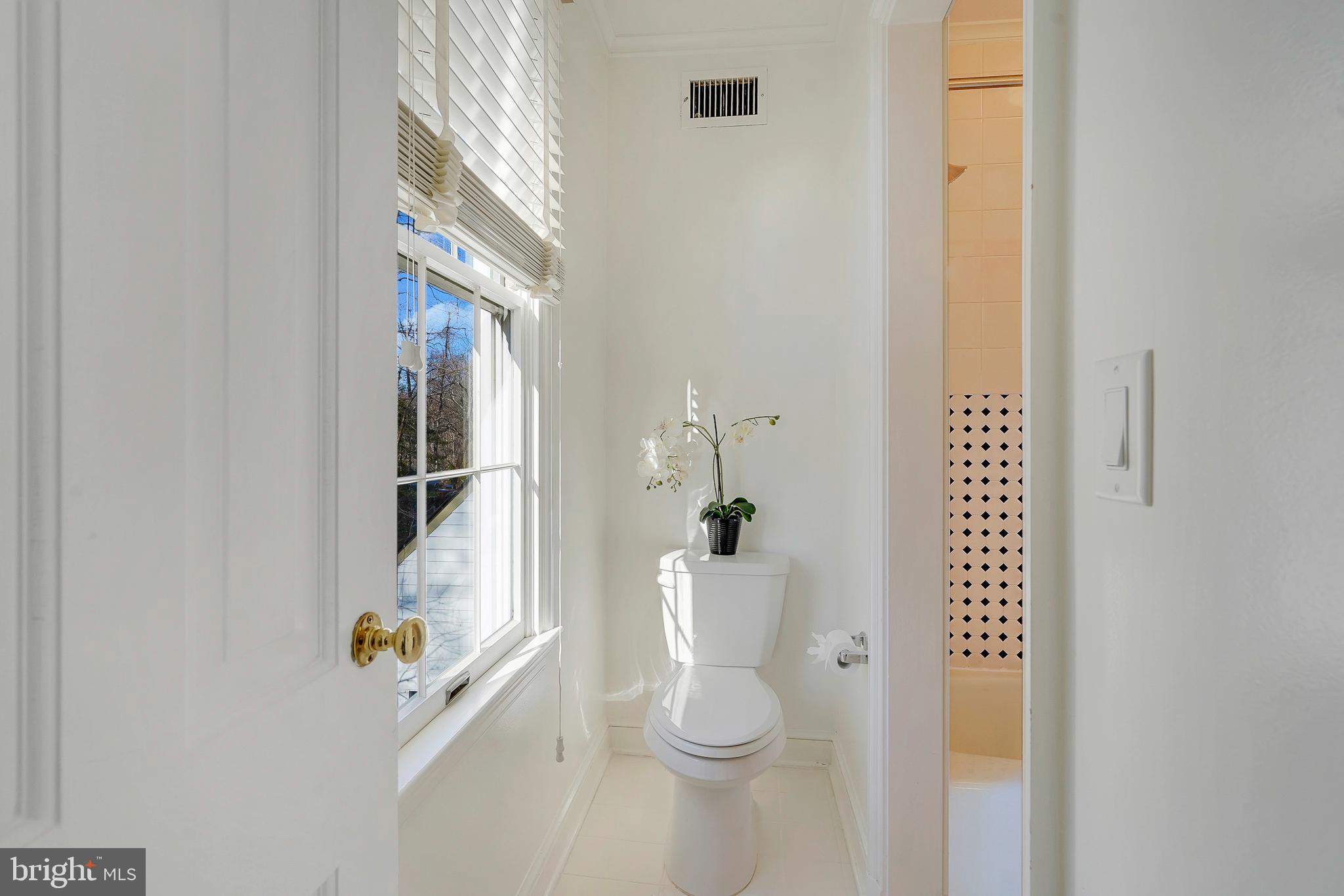 815 ARCTURUS ON THE POTOMAC