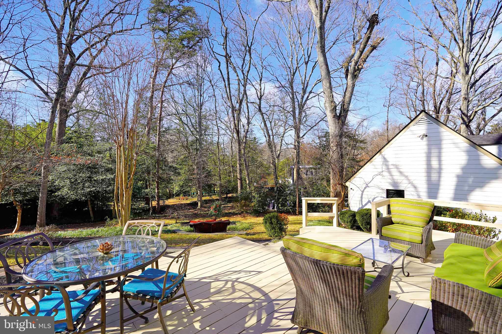 815 ARCTURUS ON THE POTOMAC