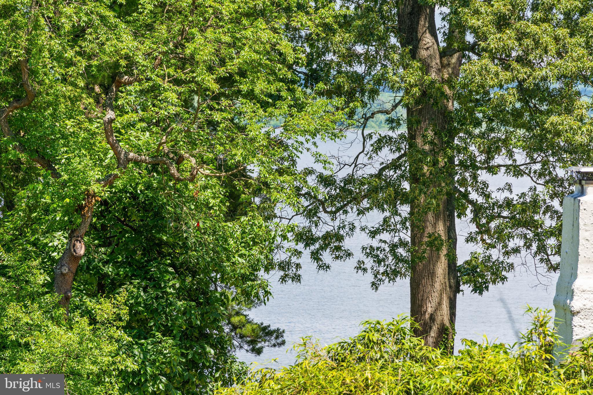 815 ARCTURUS ON THE POTOMAC