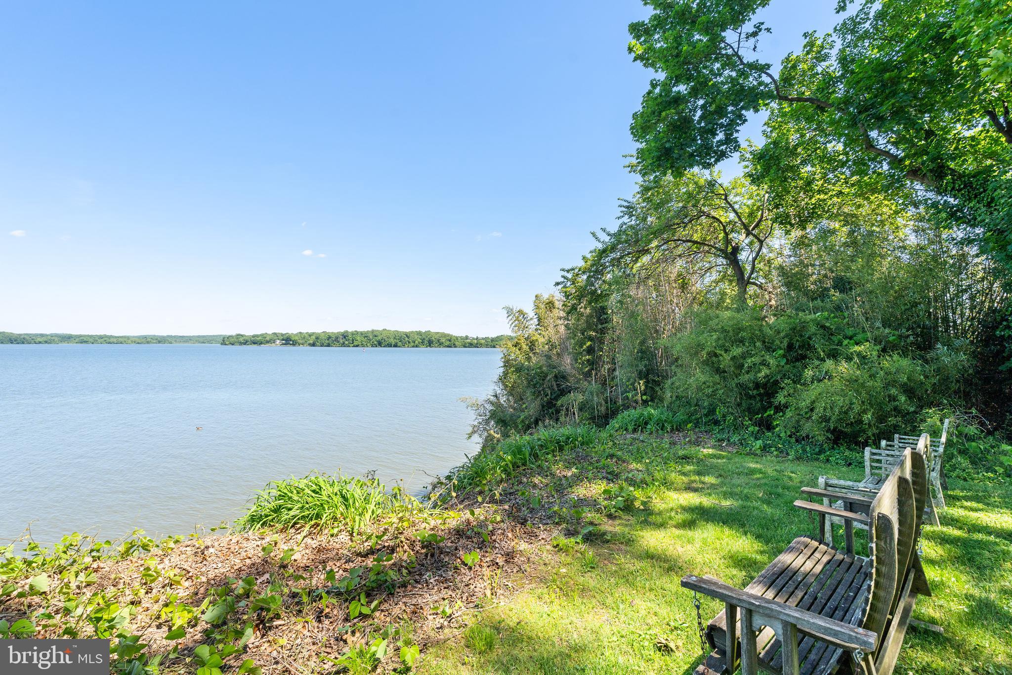 815 ARCTURUS ON THE POTOMAC