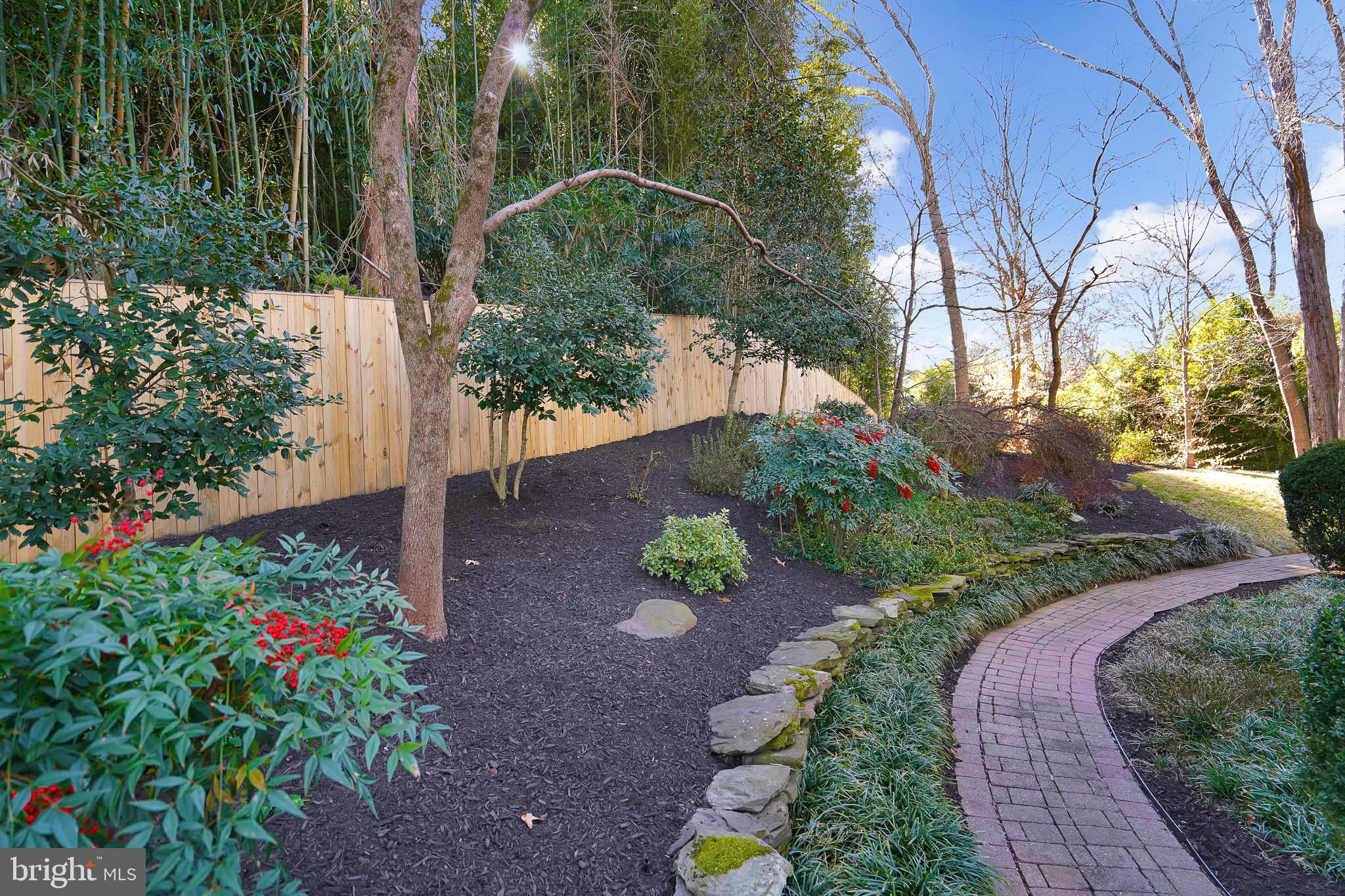 815 ARCTURUS ON THE POTOMAC