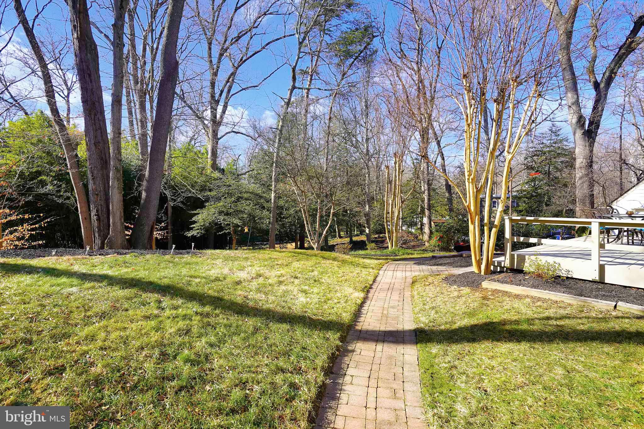 815 ARCTURUS ON THE POTOMAC