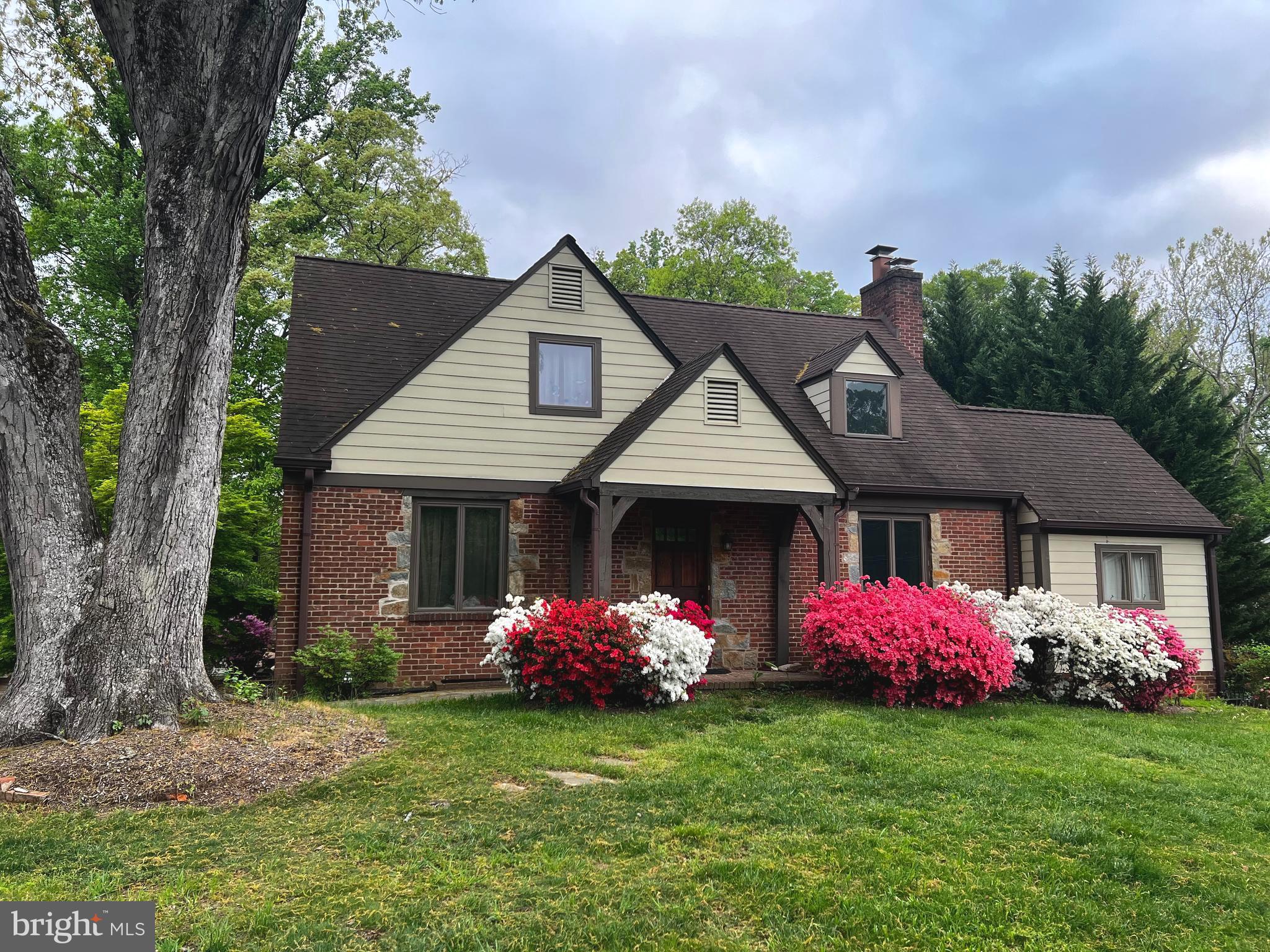 6586 BRADDOCK ROAD