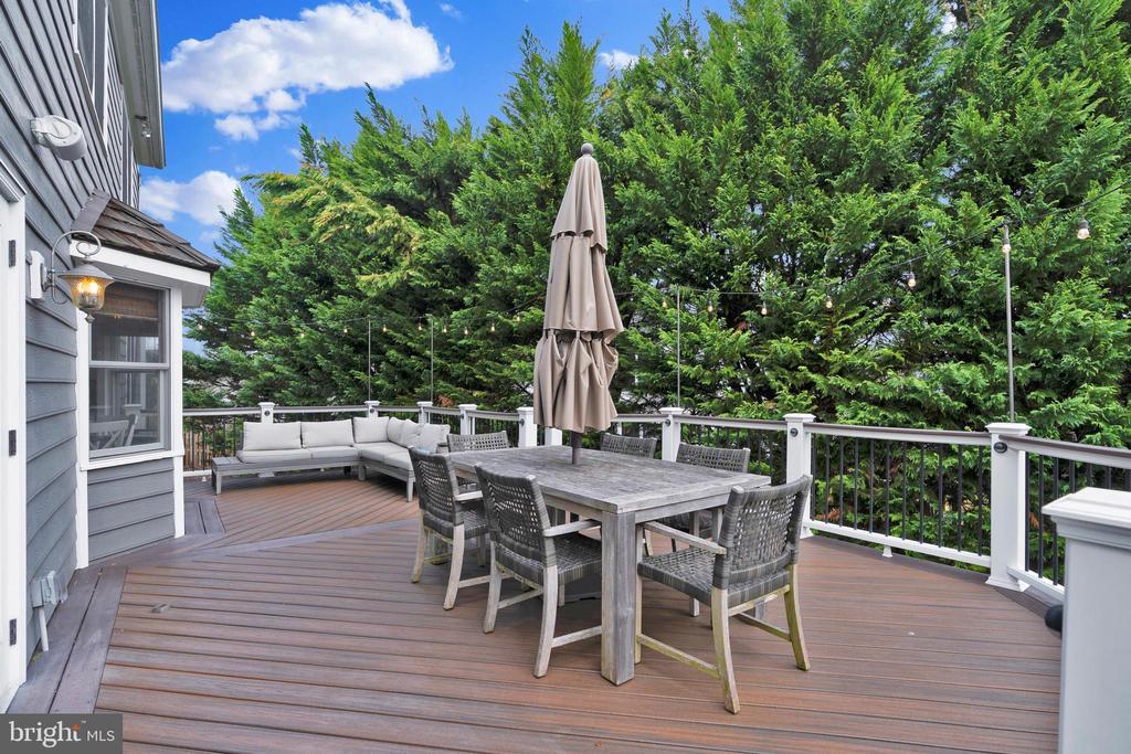 1502 CHAIN BRIDGE COURT