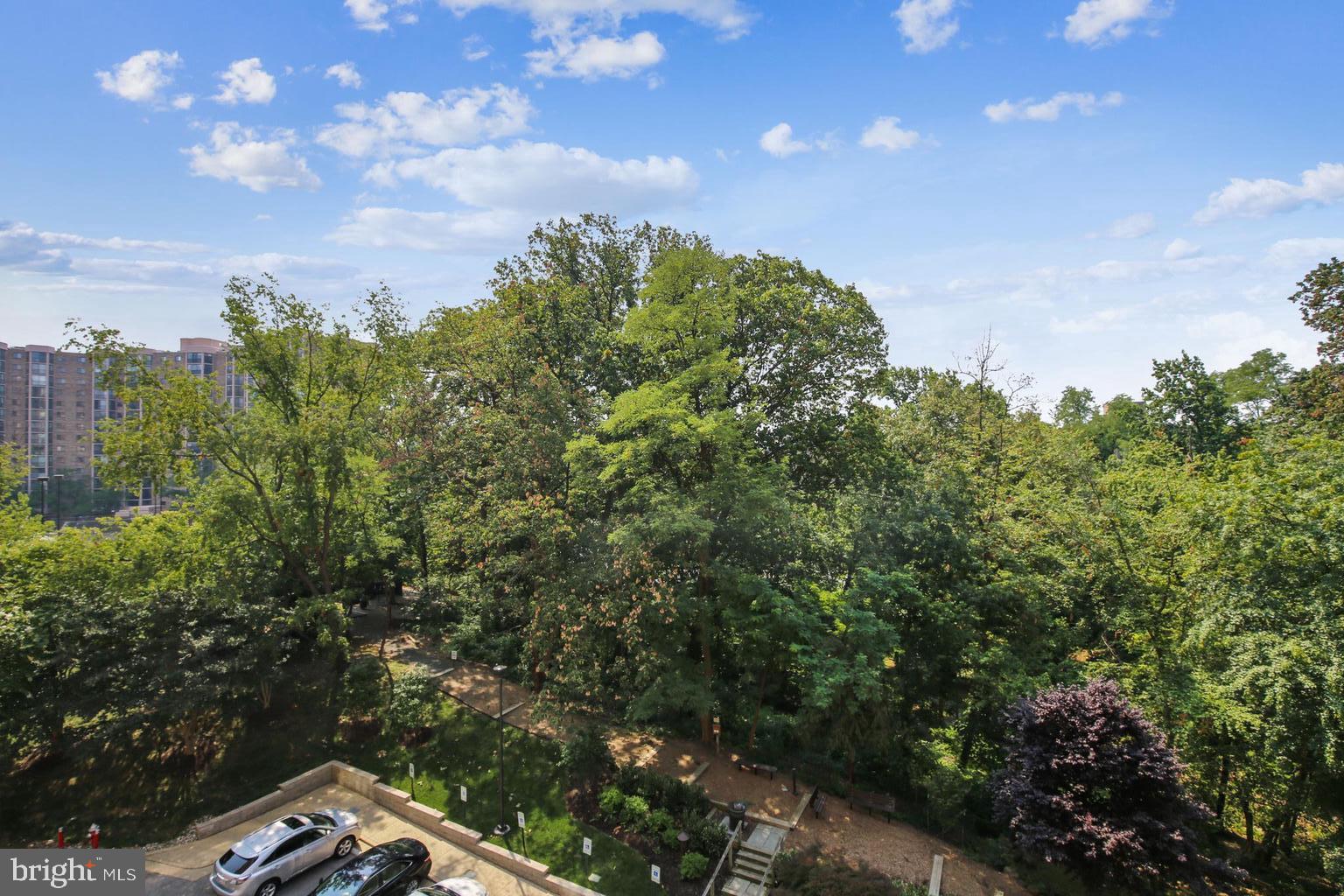 5902 MOUNT EAGLE DRIVE 310