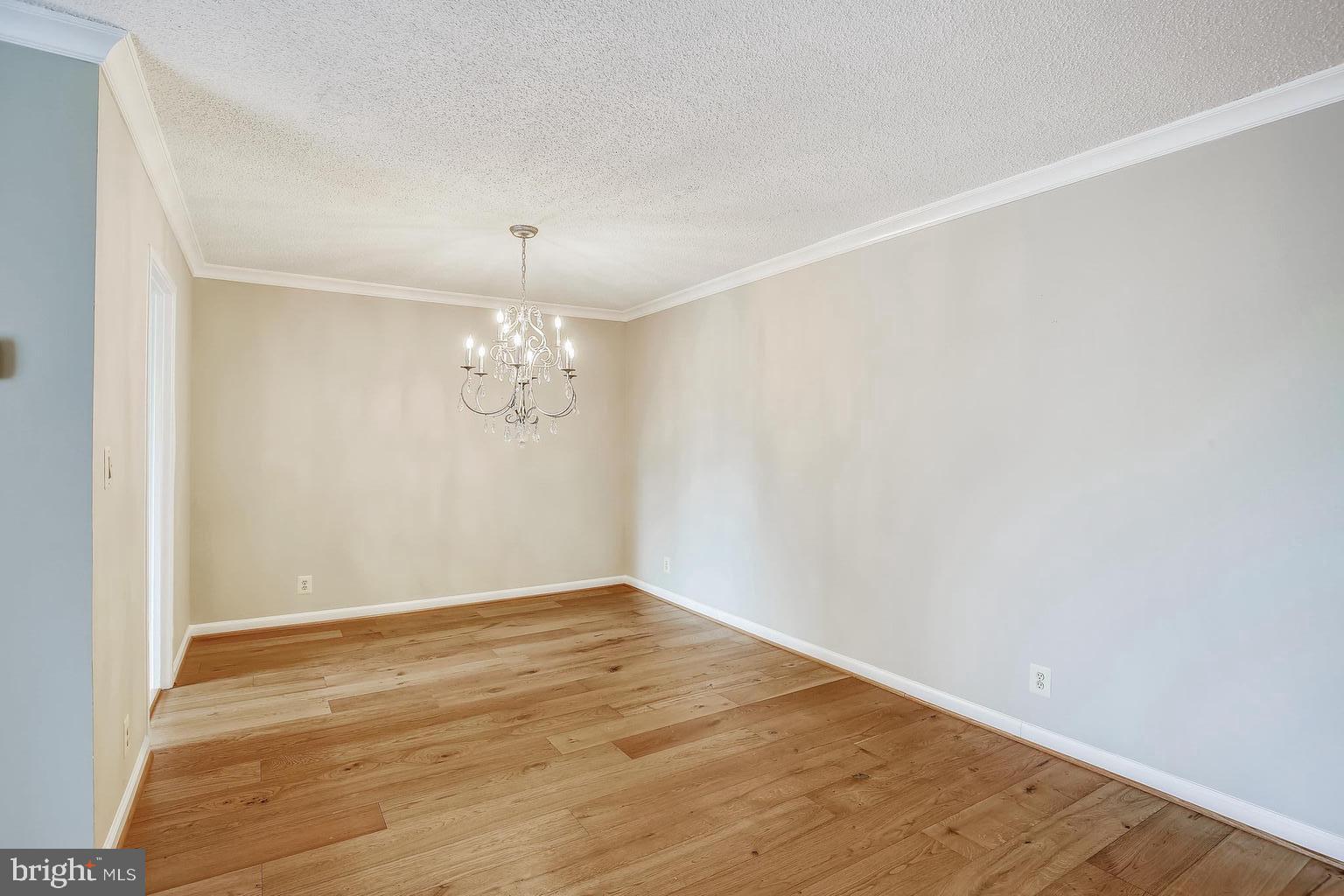 5902 MOUNT EAGLE DRIVE 310