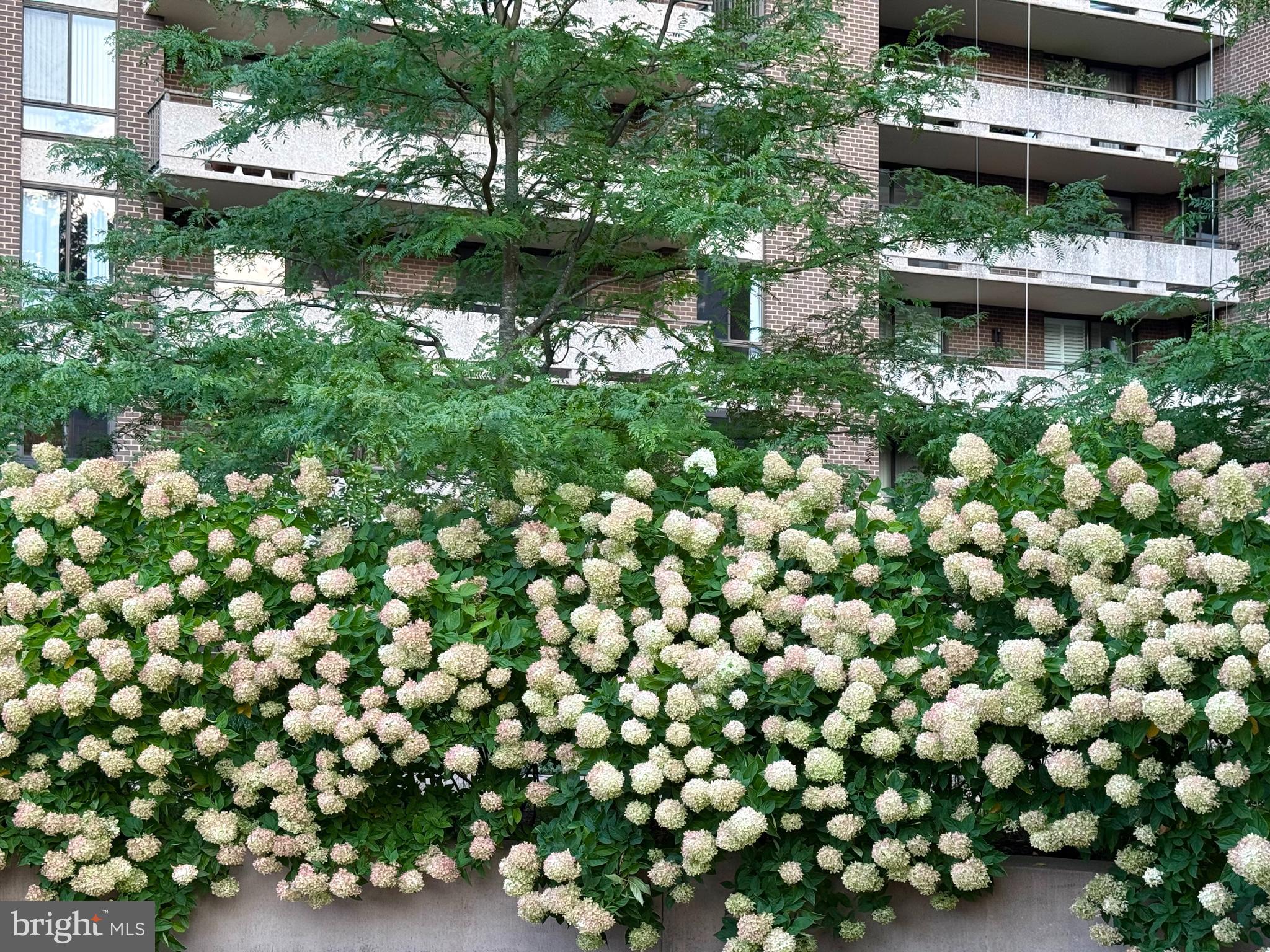 1800 OLD MEADOW ROAD 1006