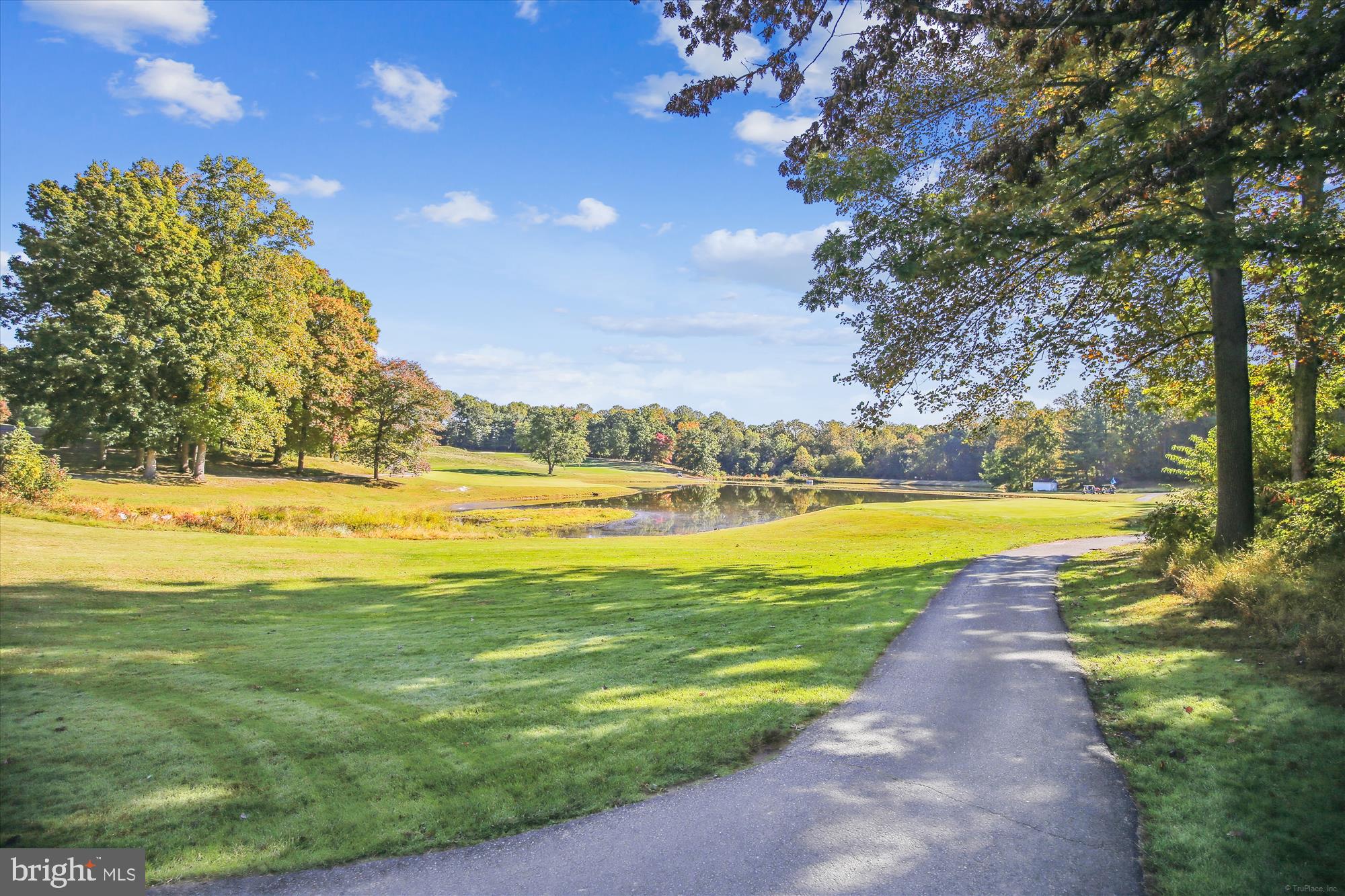 12102 GREENWOOD COURT 101