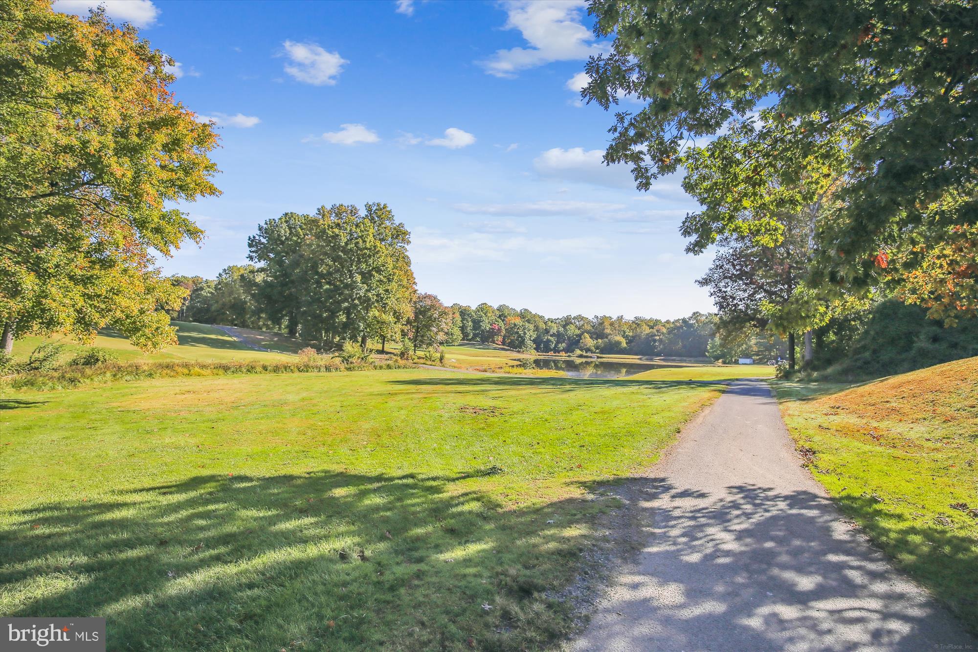 12102 GREENWOOD COURT 101