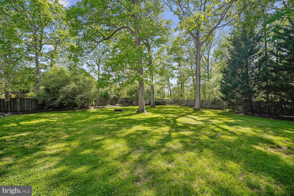 13113 WILLOW EDGE COURT