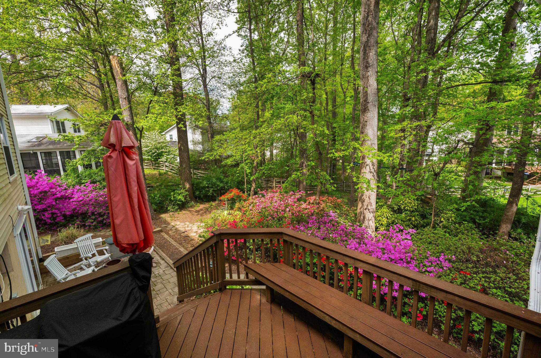 10906 CARTERS OAK WAY