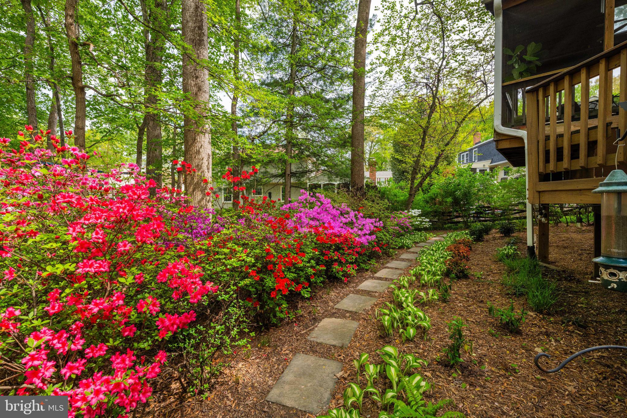 10906 CARTERS OAK WAY