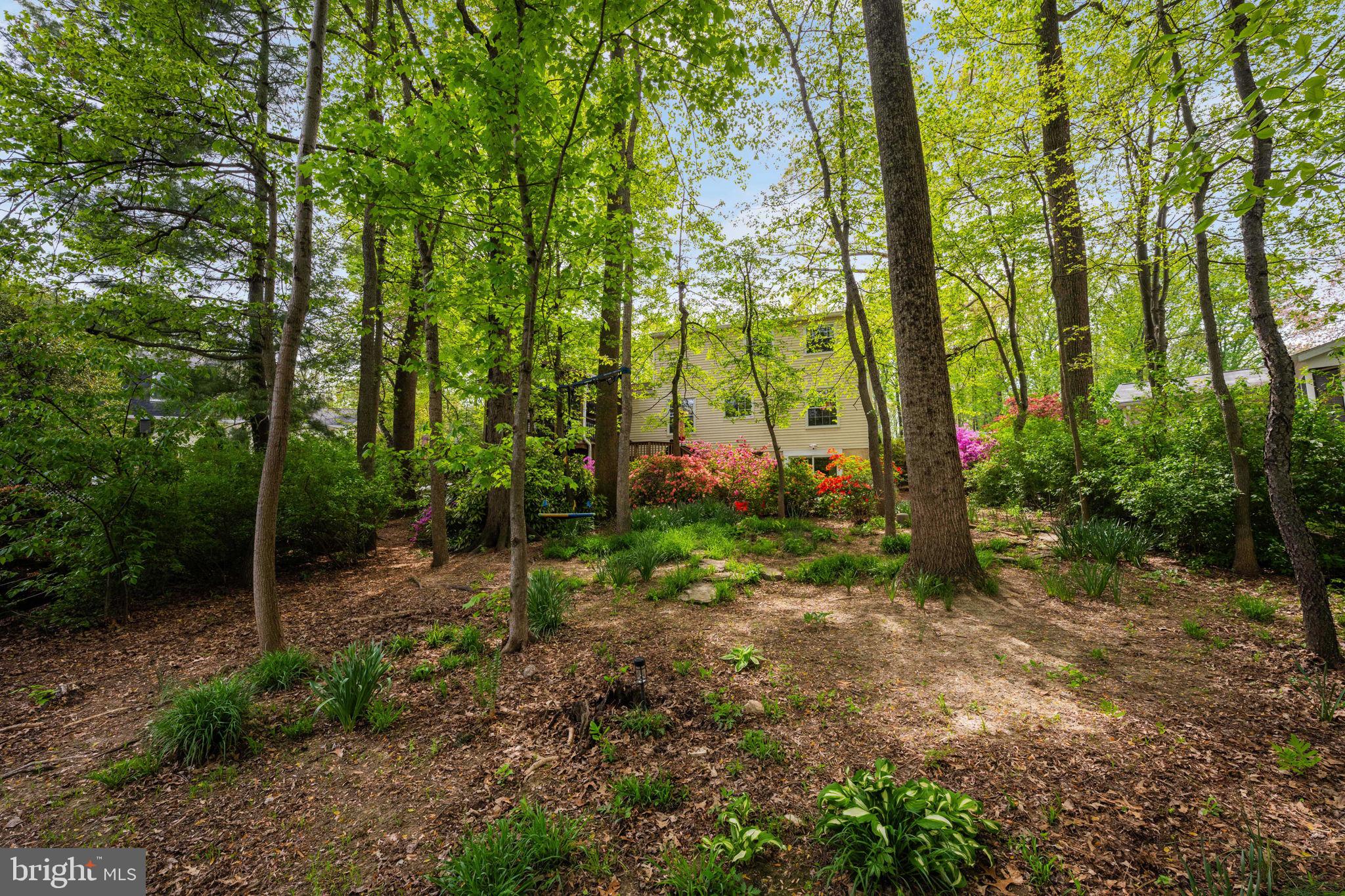 10906 CARTERS OAK WAY
