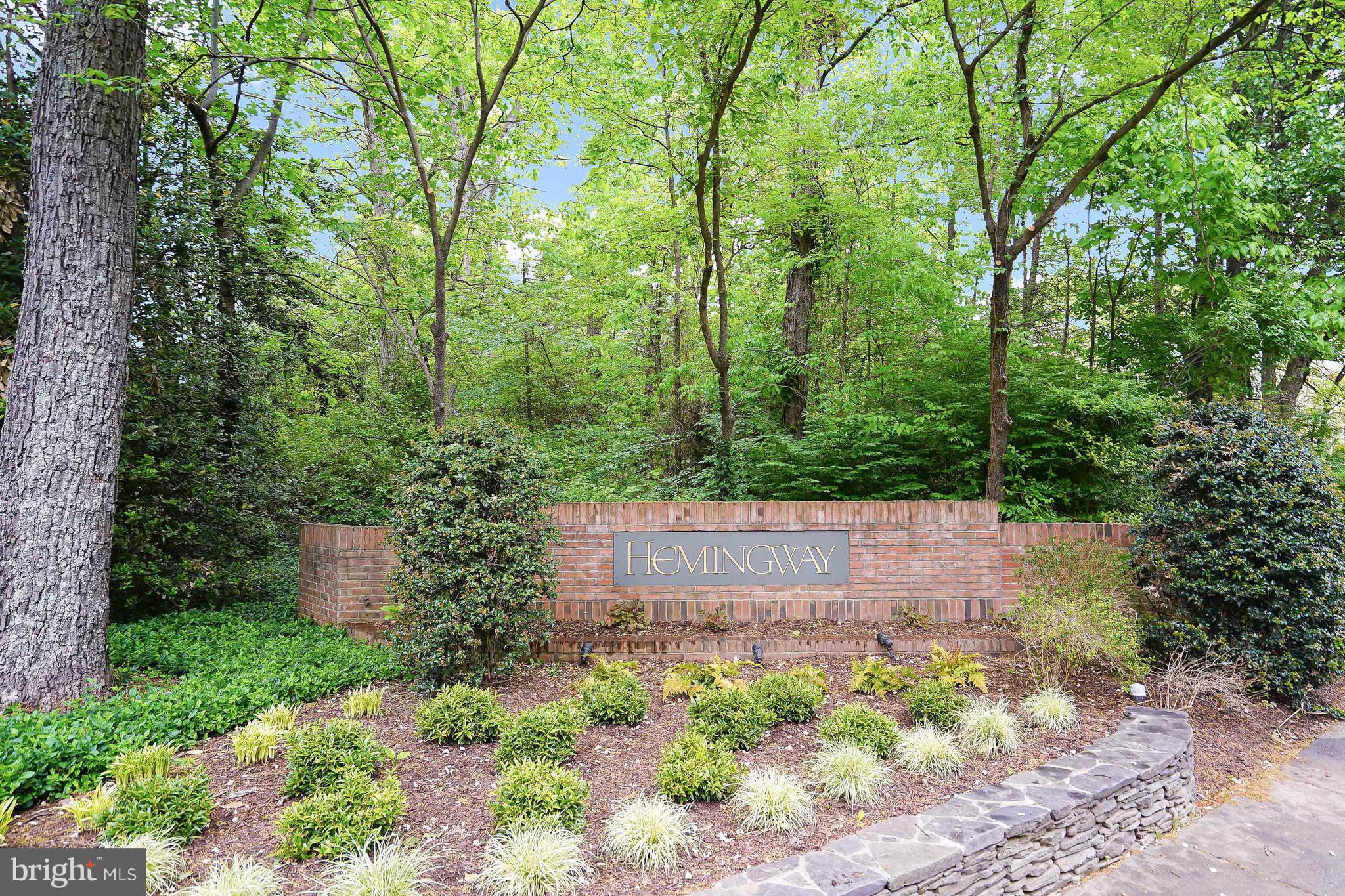 11538 HEMINGWAY DRIVE