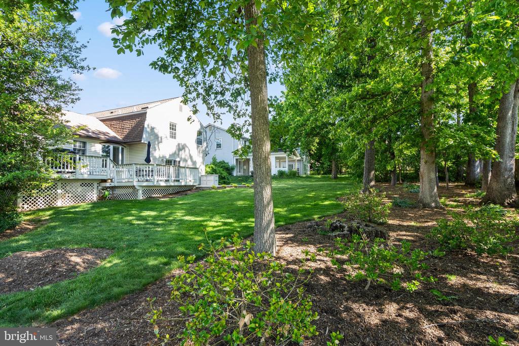 2615 THOMAS YOUNG LANE