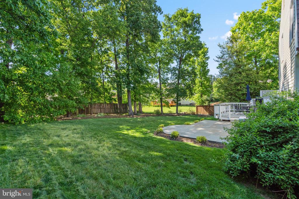 2615 THOMAS YOUNG LANE