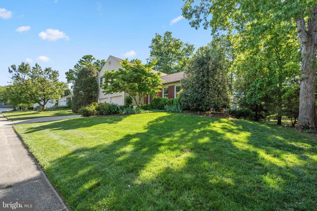 2615 THOMAS YOUNG LANE