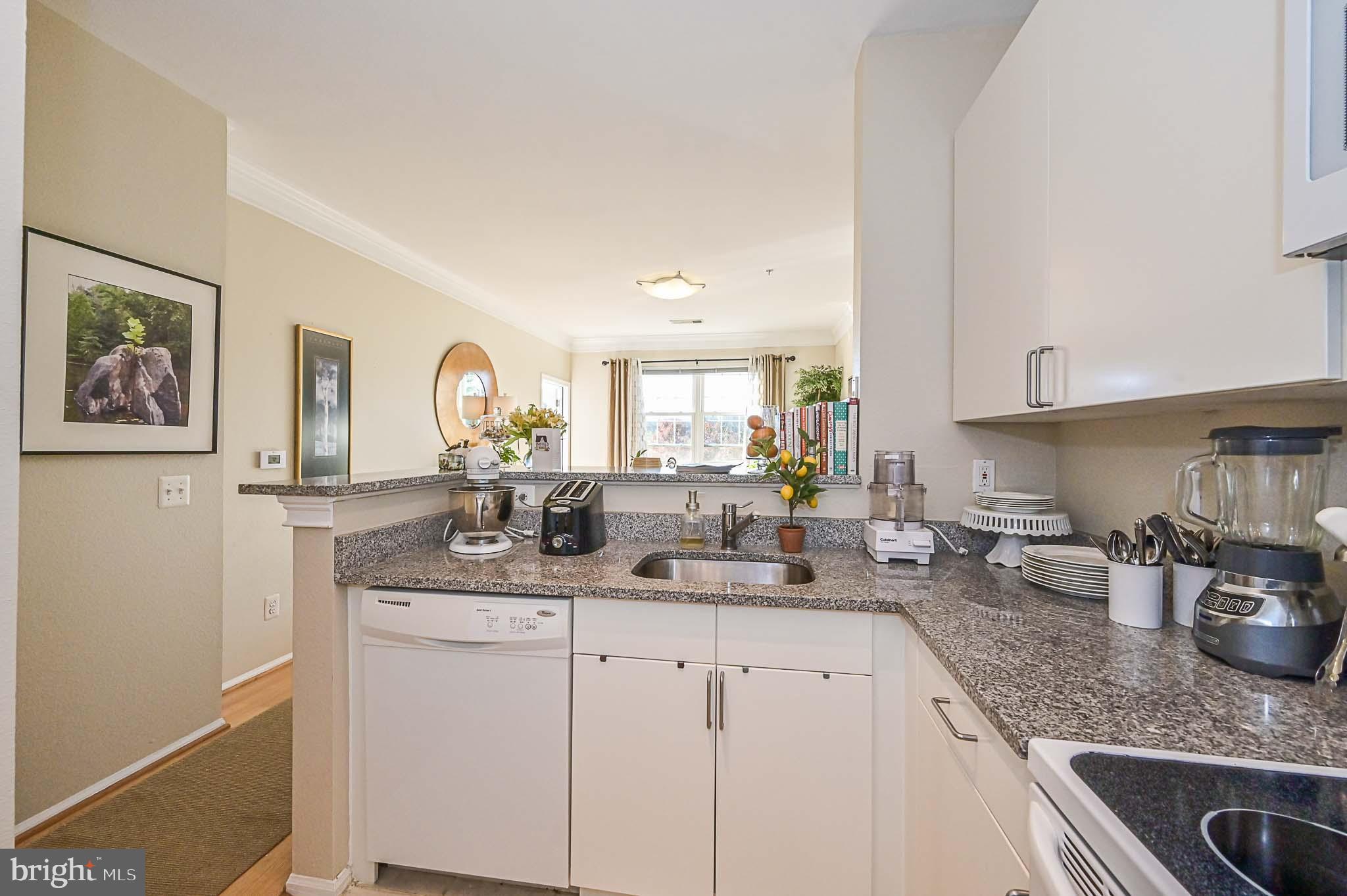 1570 SPRING GATE DRIVE 7302