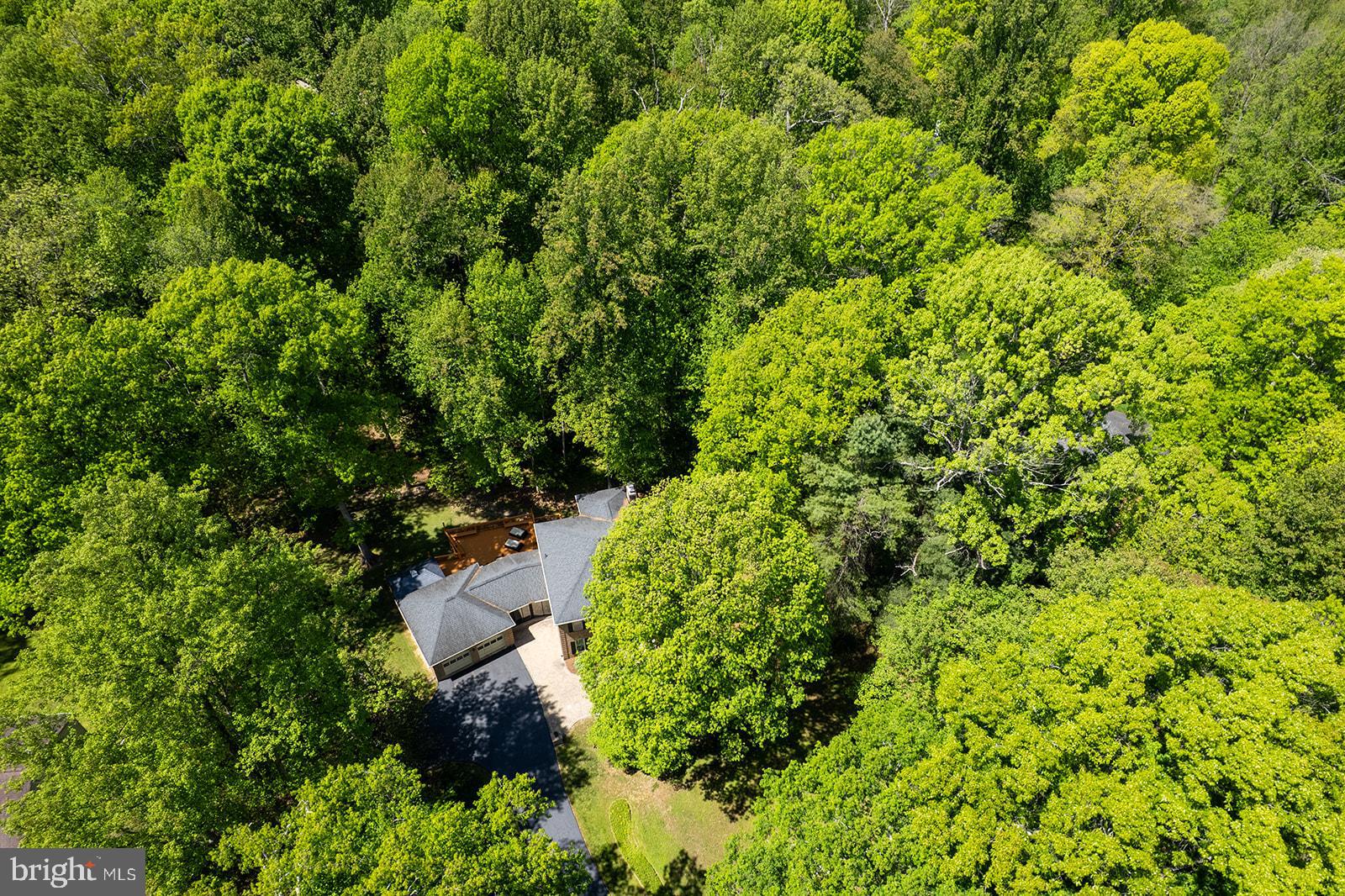 11732 STUART MILL ROAD