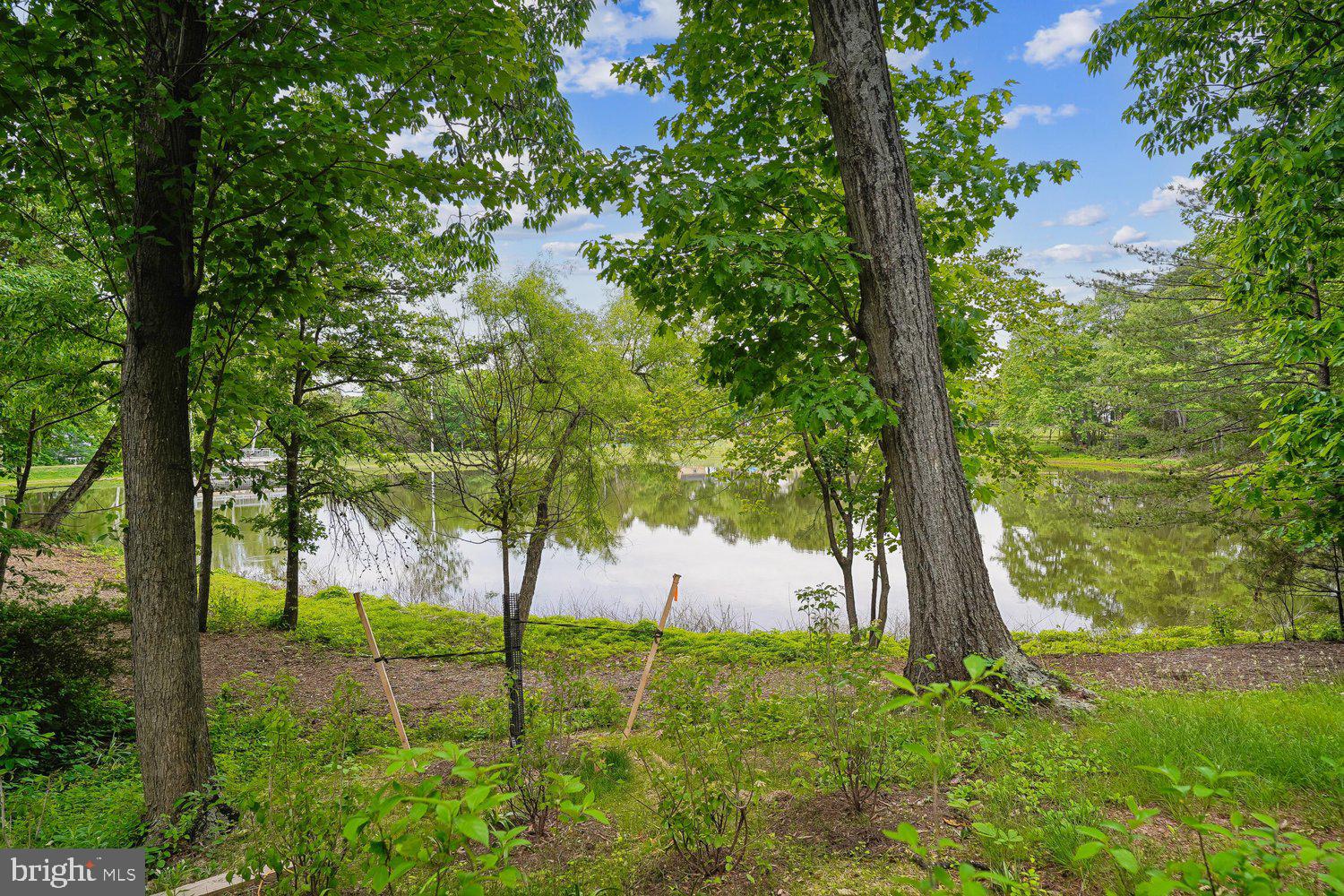 13484 LAKE SHORE